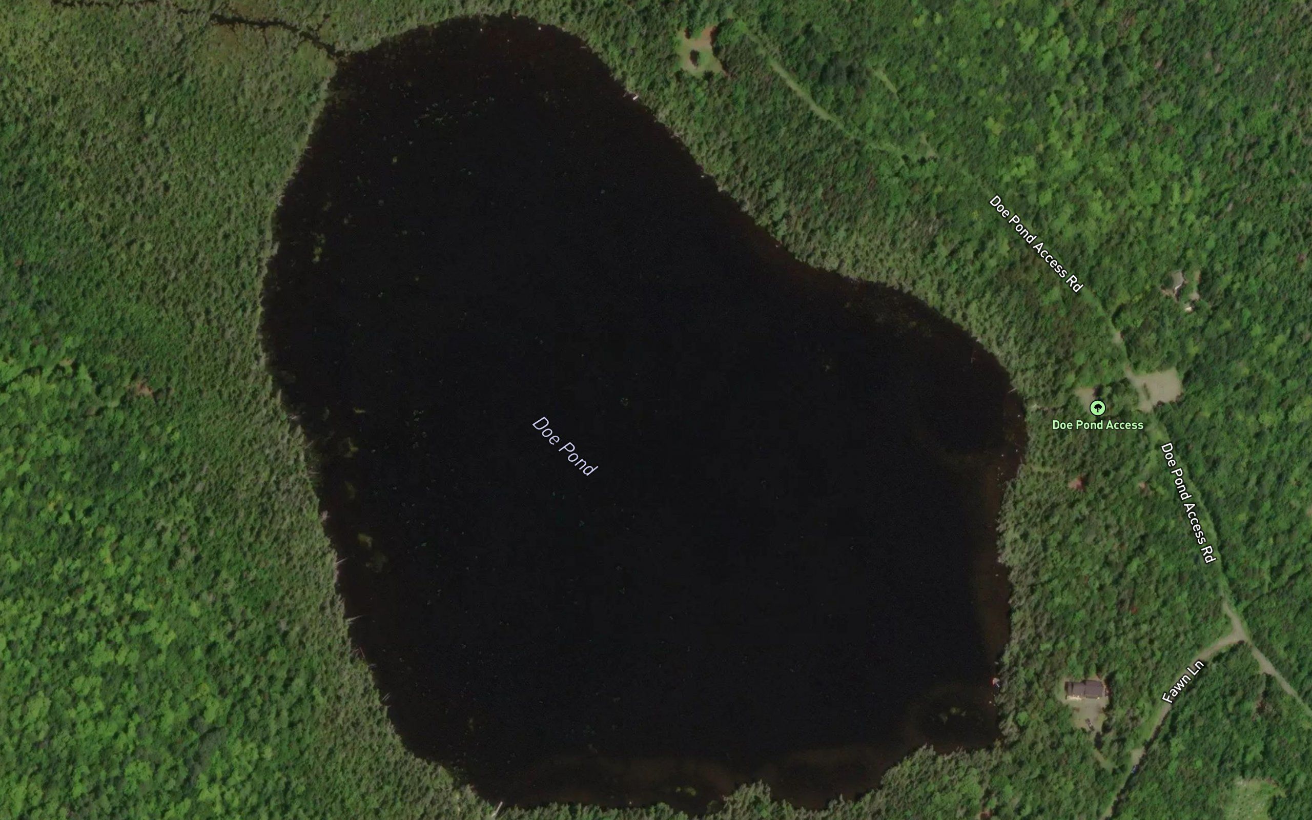 Doe Pond