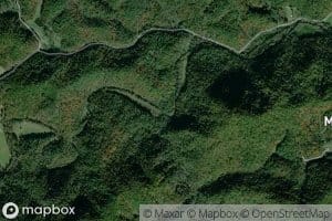 Laurel Fork