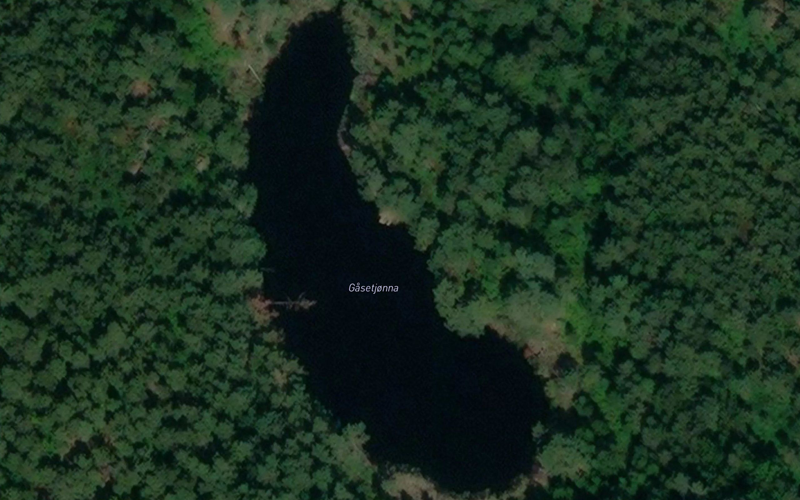 Gasetjonna