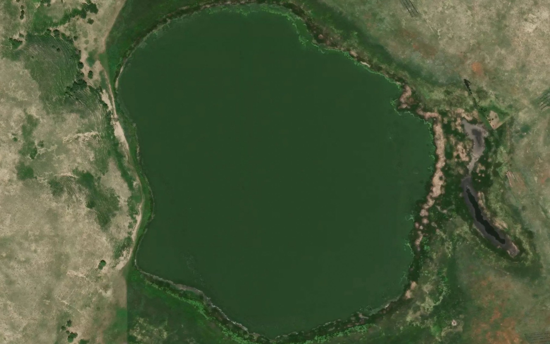 Satellite map of the McAlister Lake