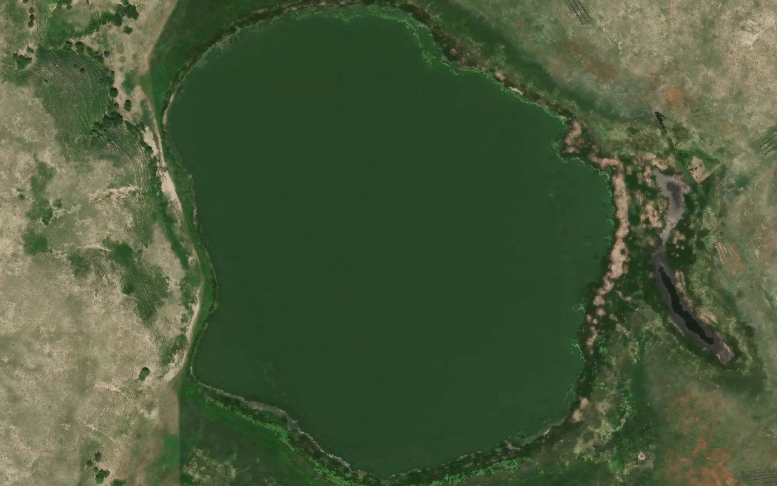 McAlister Lake