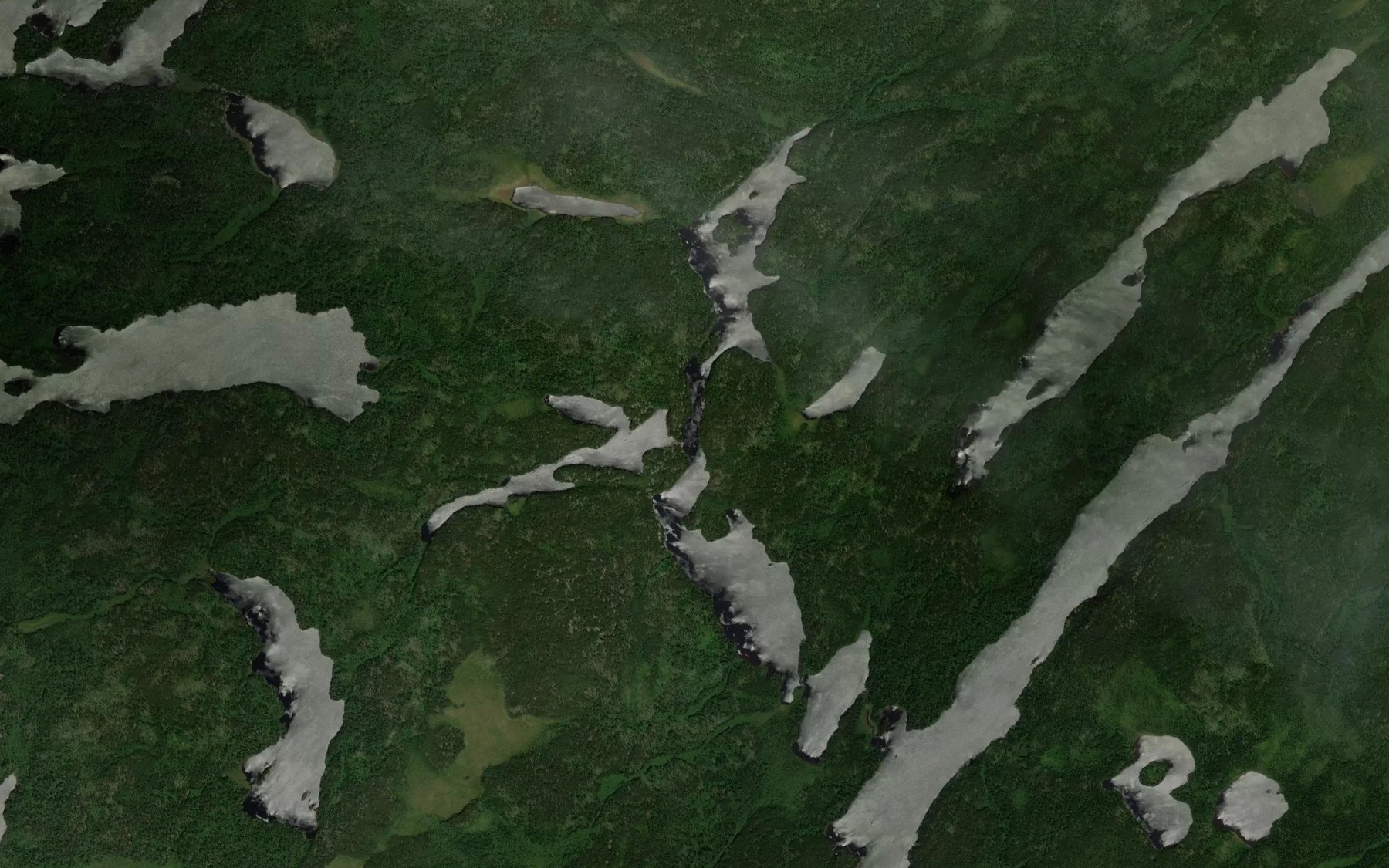 Satellite map of the Cab Lake