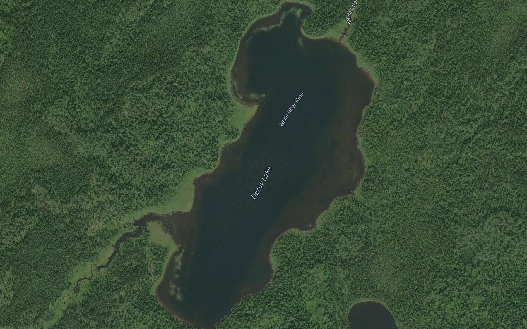 Satellite map of the Decoy Lake