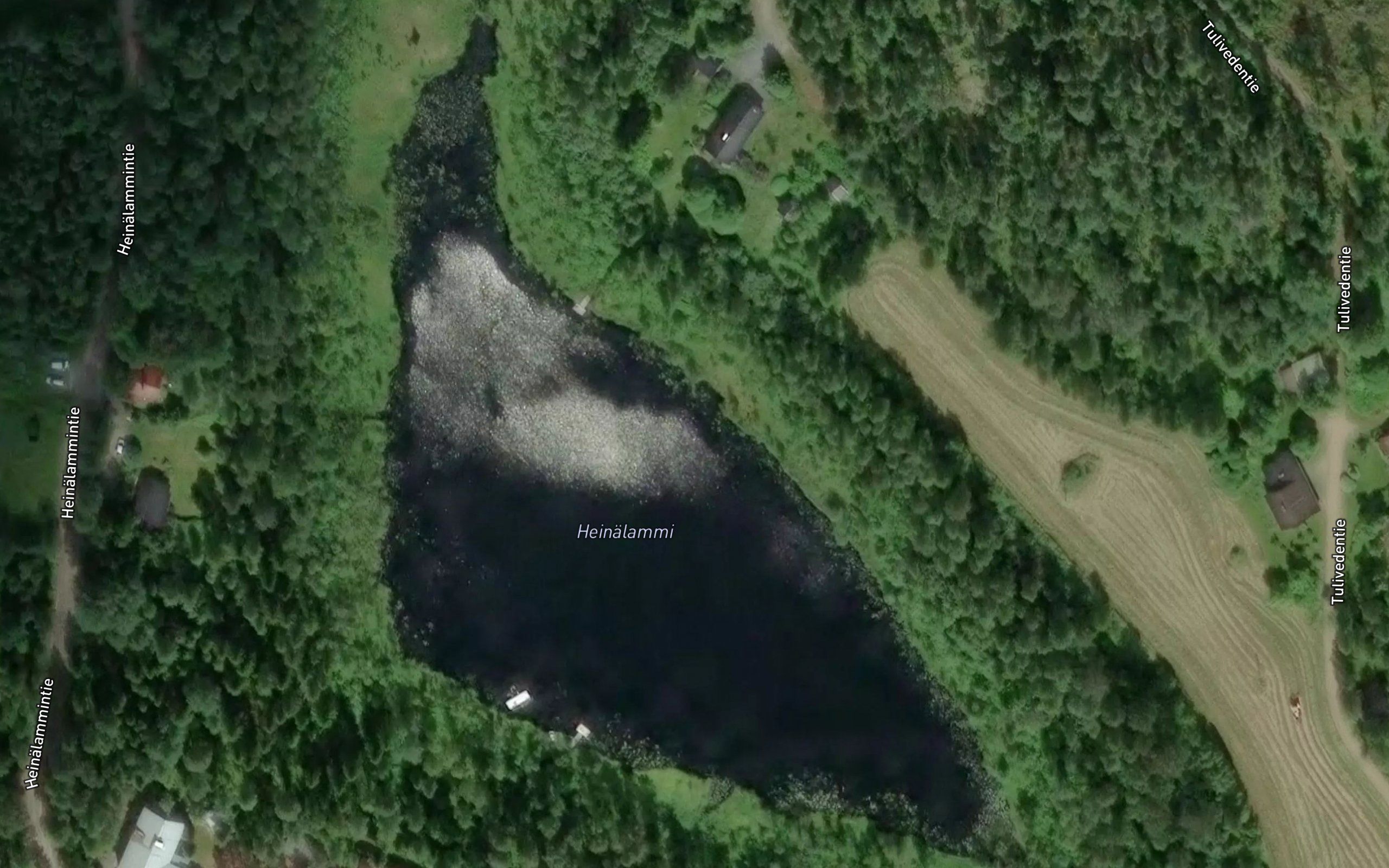 Heinalammi