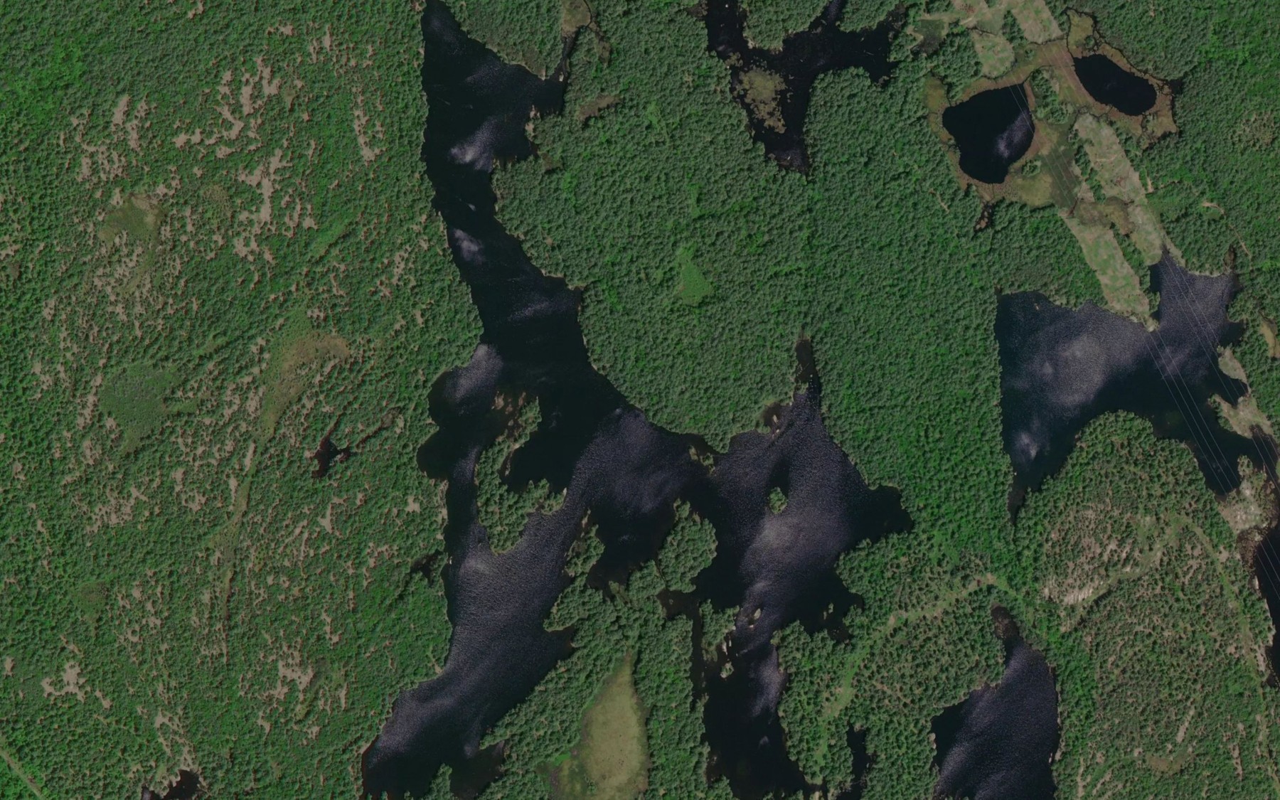 Satellite map of the Fraud Lake