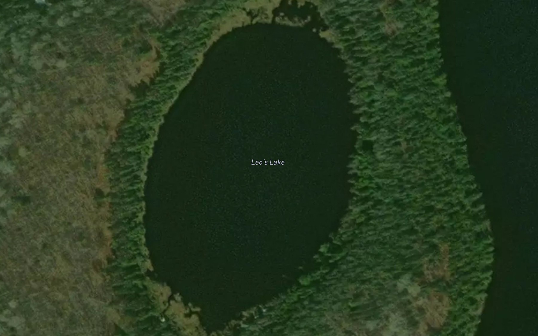 Satellite map of the Leo's Lake