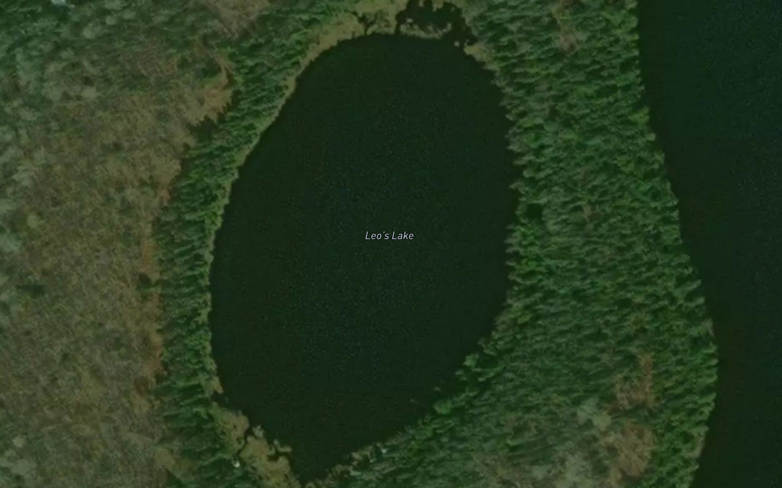Leo's Lake