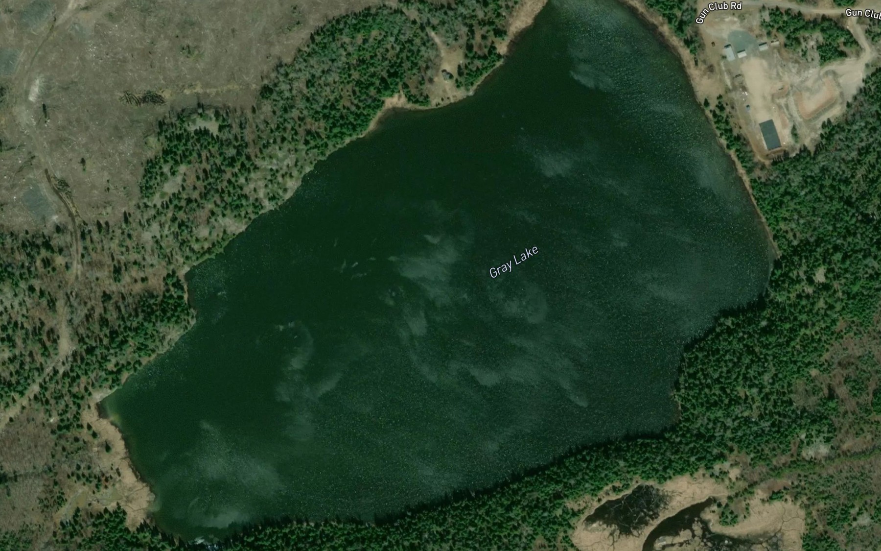 Satellite map of the Gray Lake