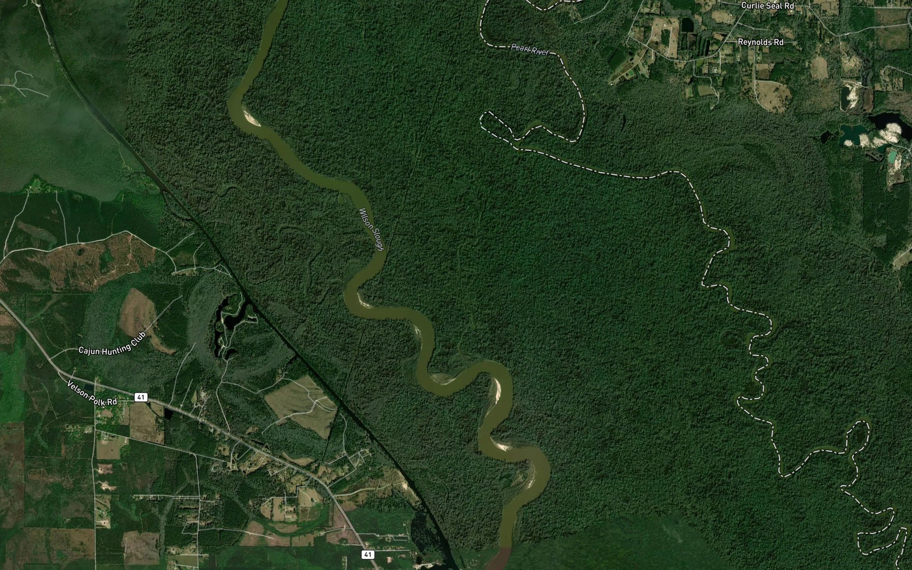 Satellite map of the Turkey Pond