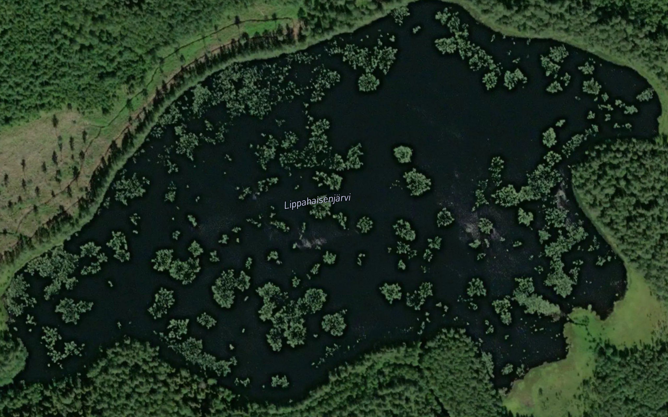 Lippahaisenjarvi