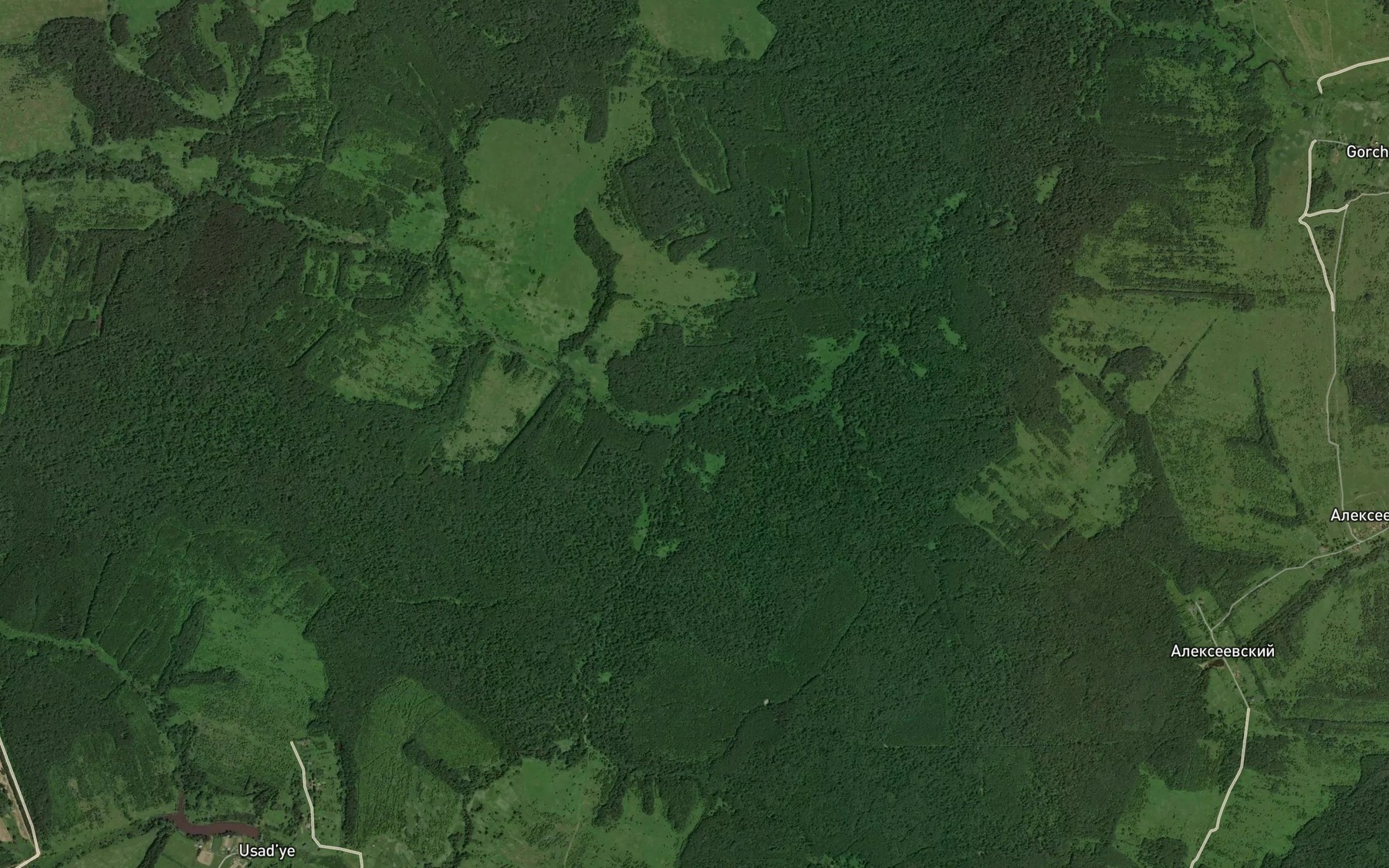 Satellite map of the Aleshnya