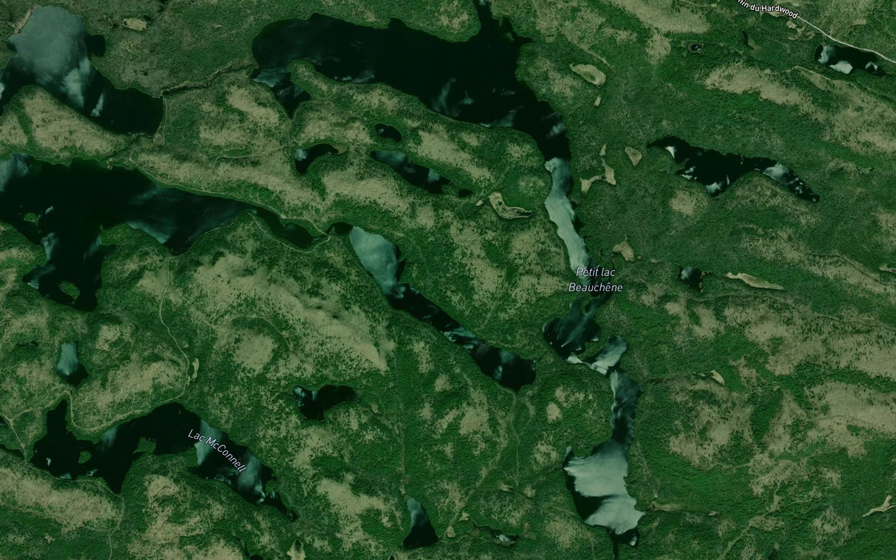 Satellite map of the Petit lac Beauchene