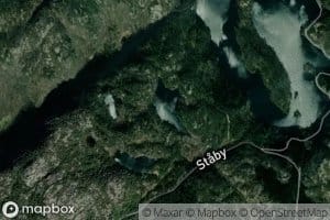 Stemvann