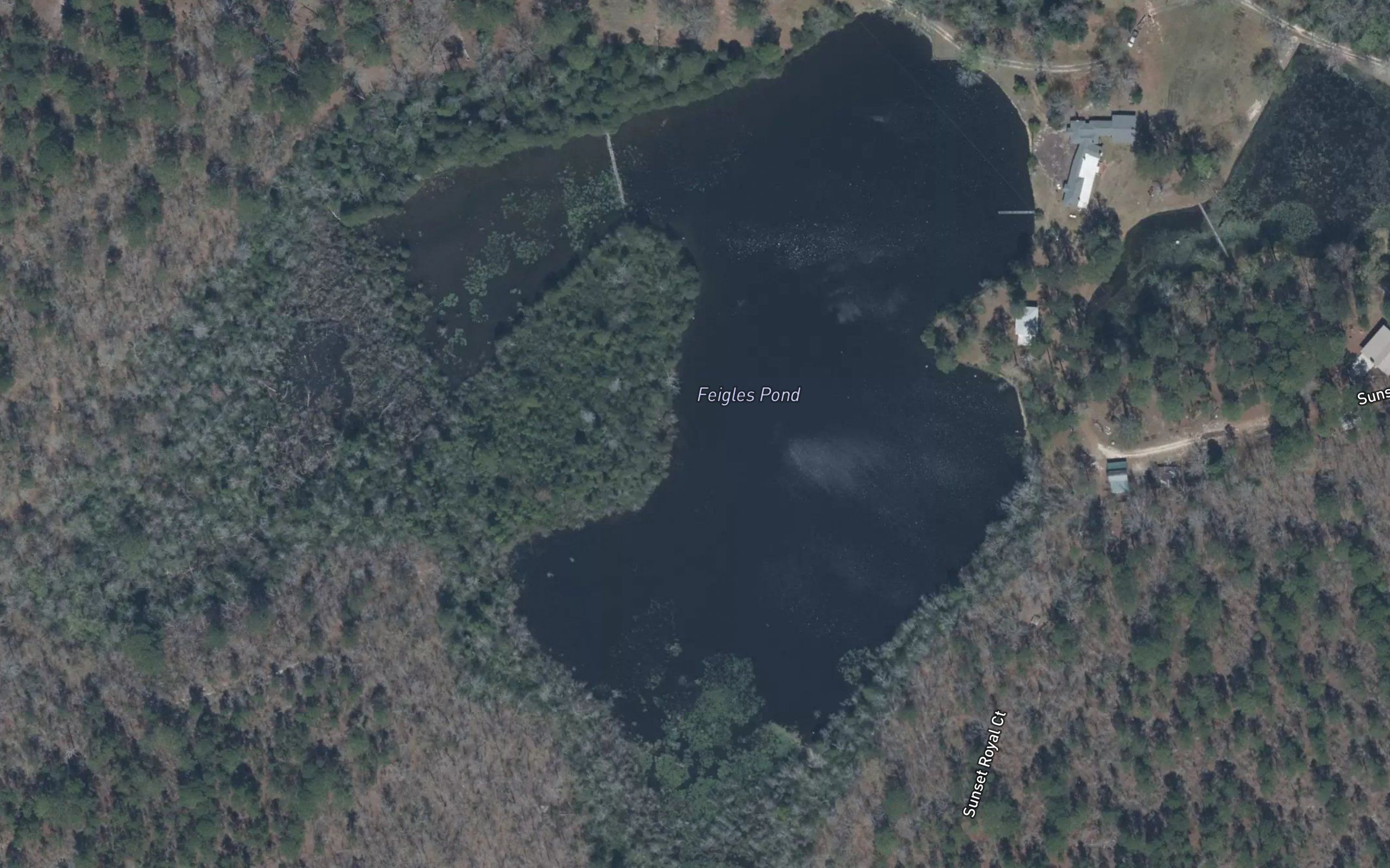 Feigles Pond