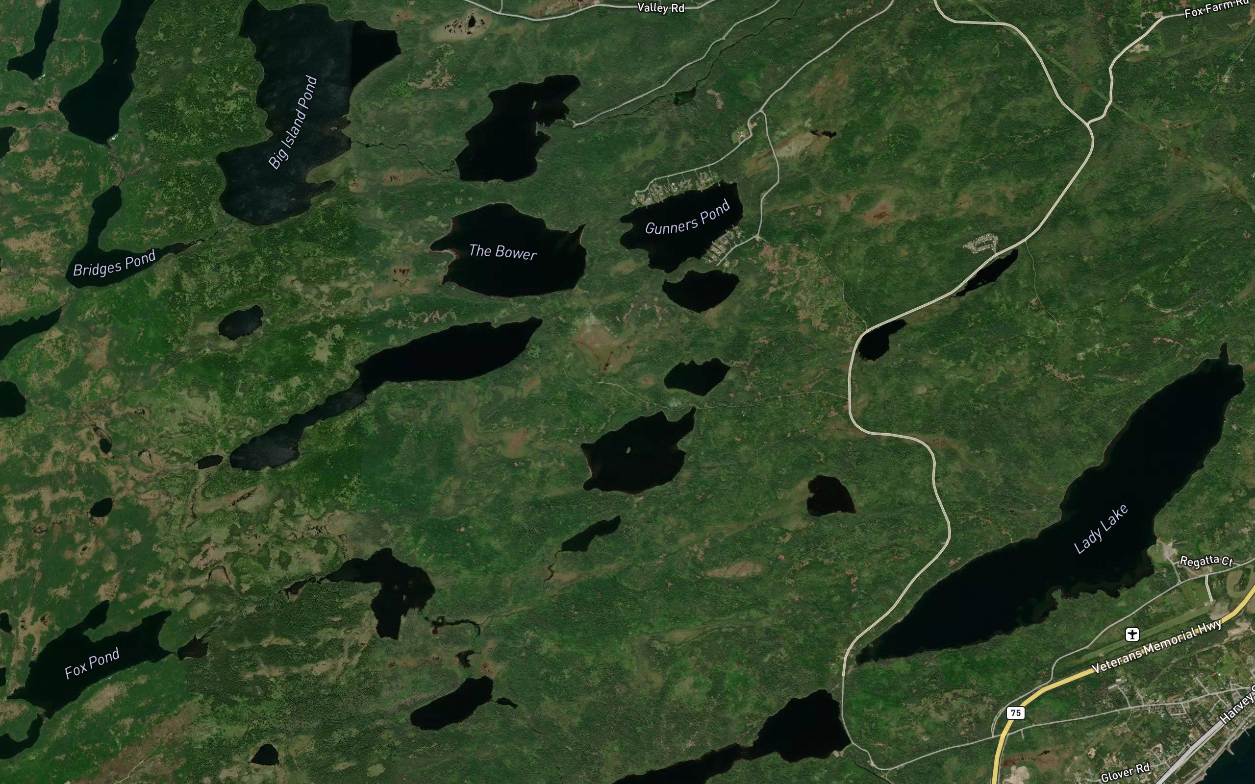 McCarthys Pond