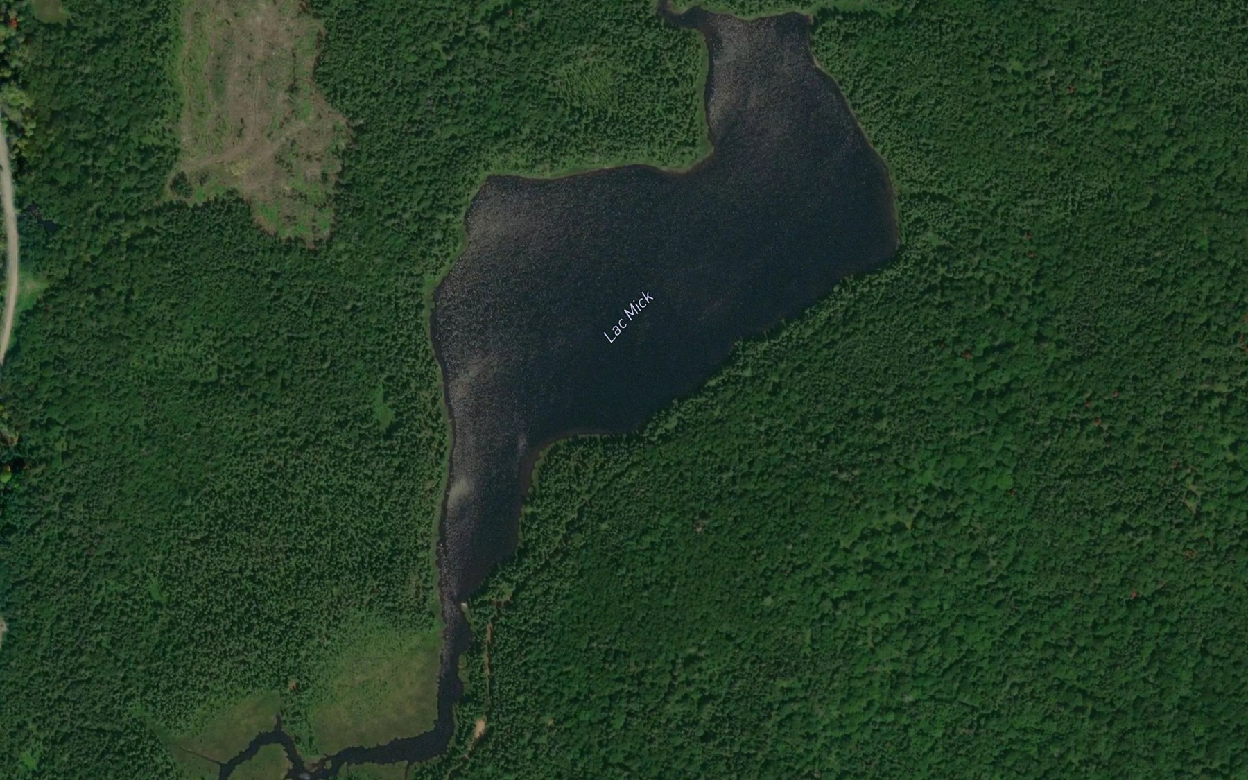 Satellite map of the Lac Mick
