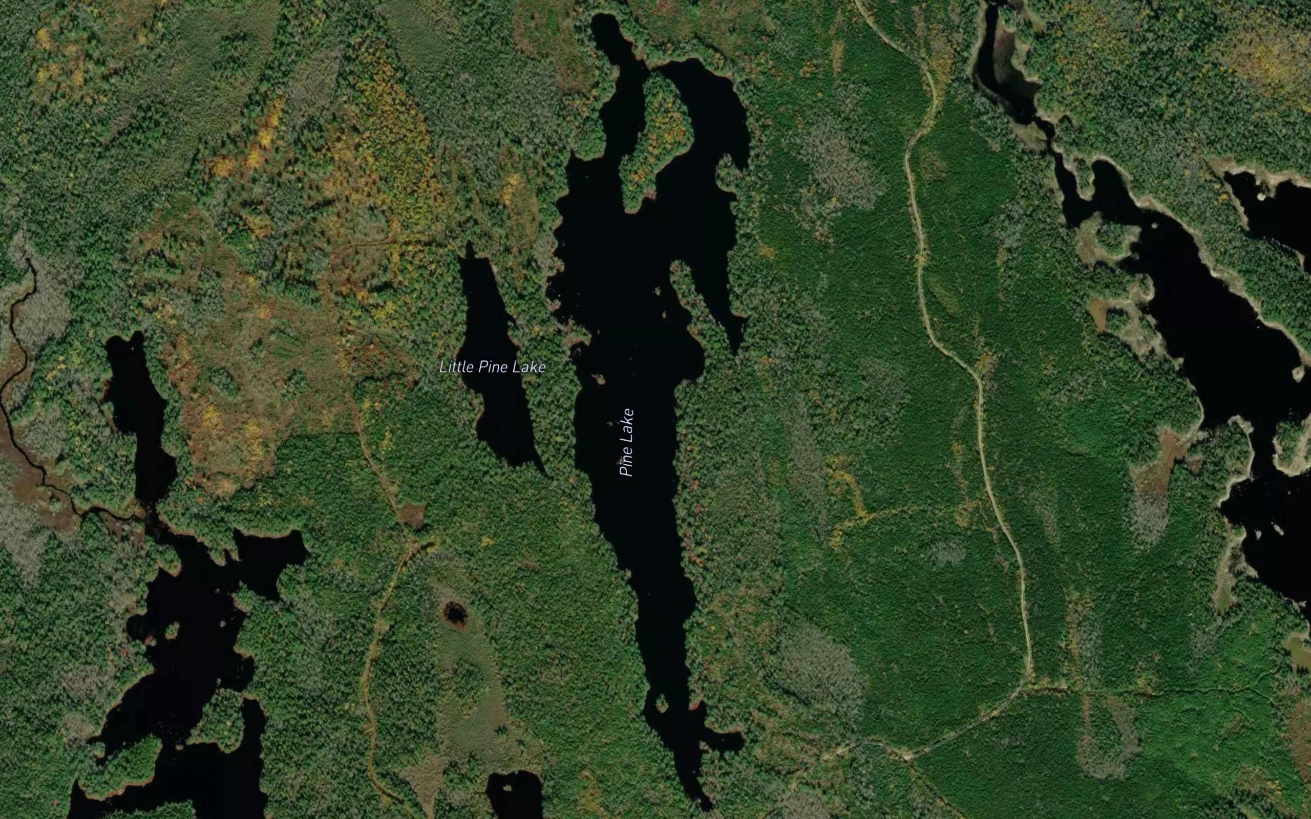 Pine Lake