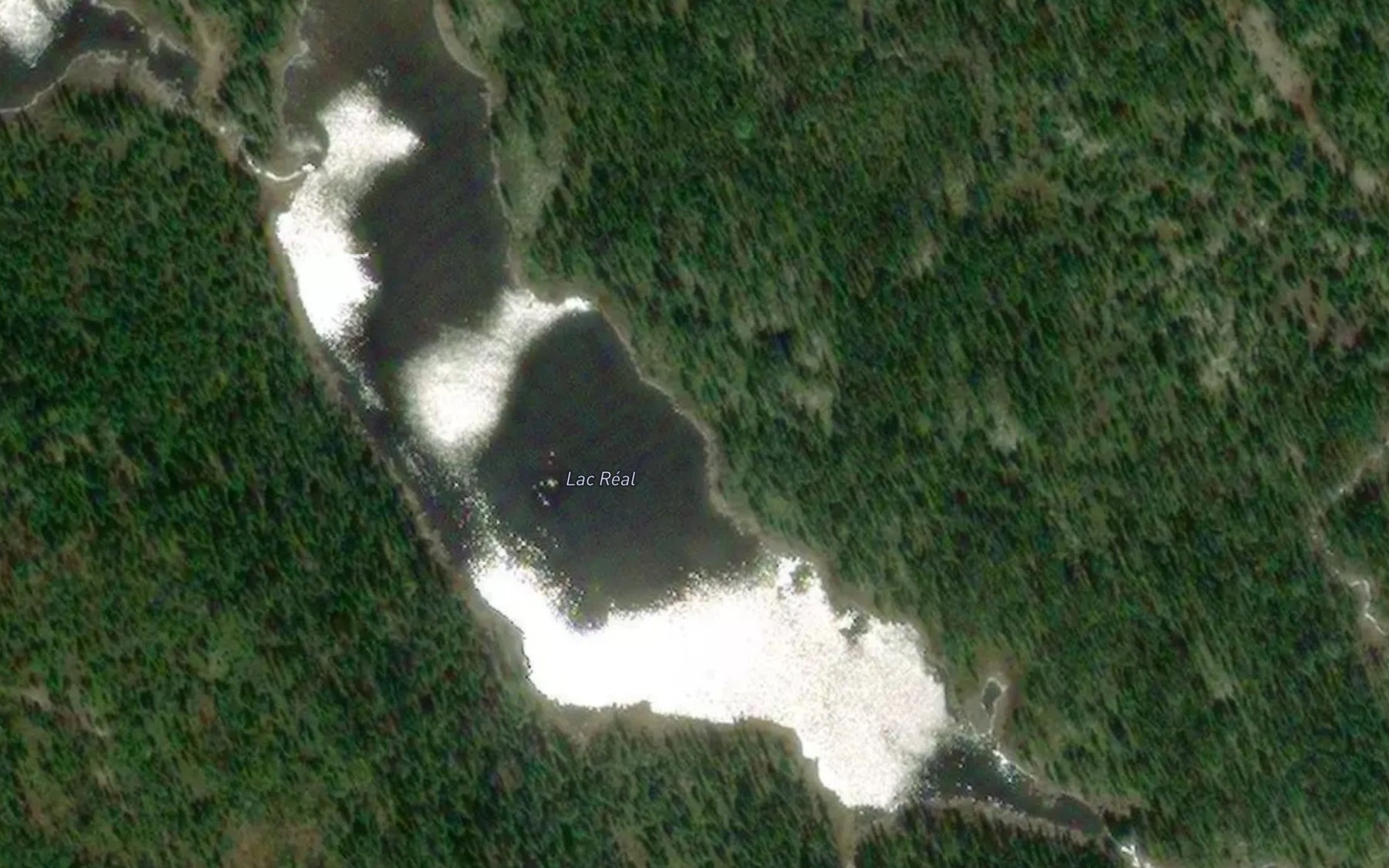 Satellite map of the Lac Real
