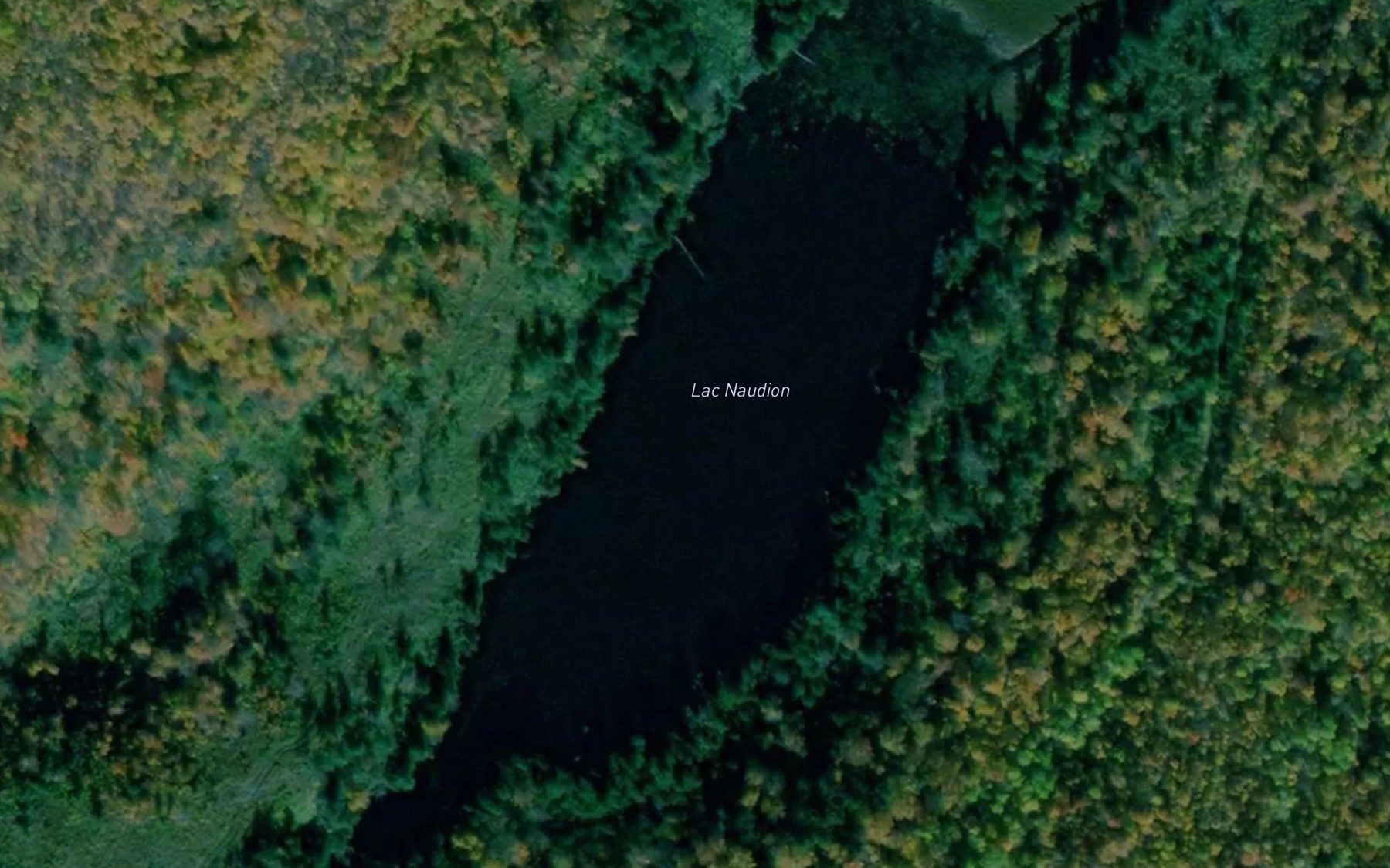 Satellite map of the Lac Naudion
