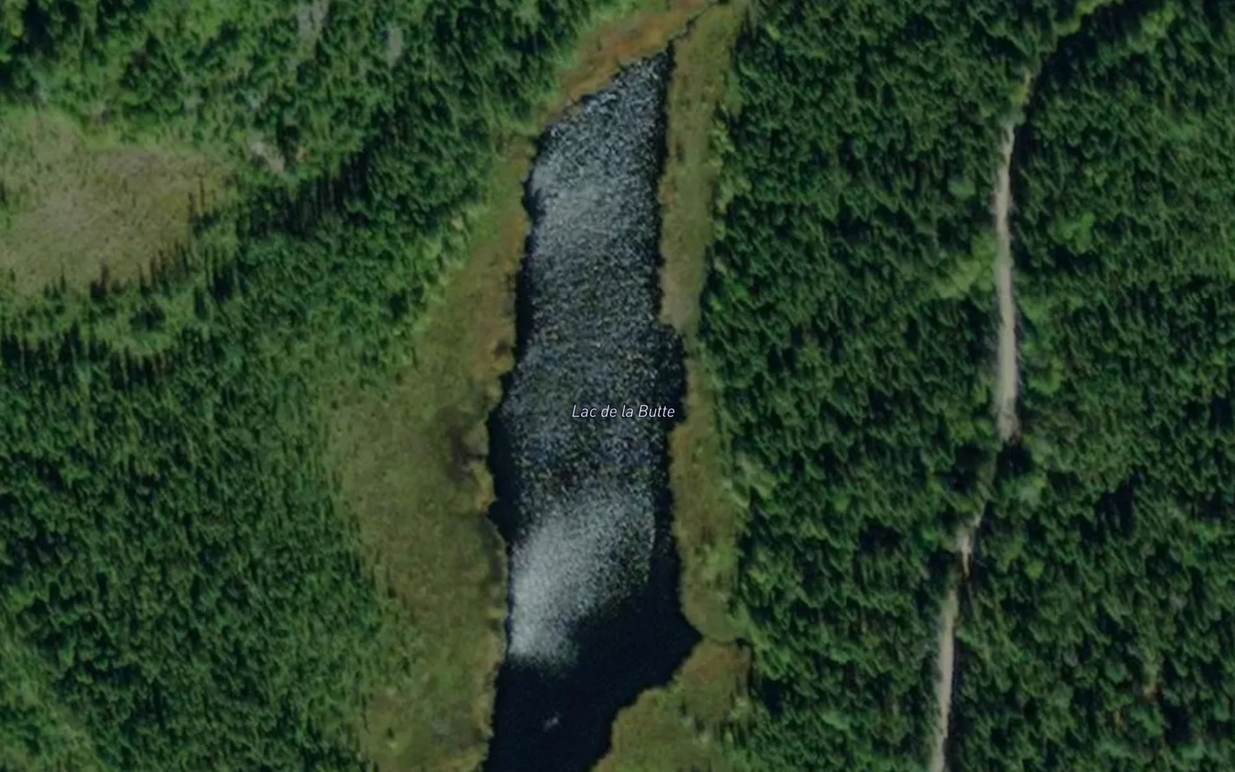 Satellite map of the Lac de la Butte