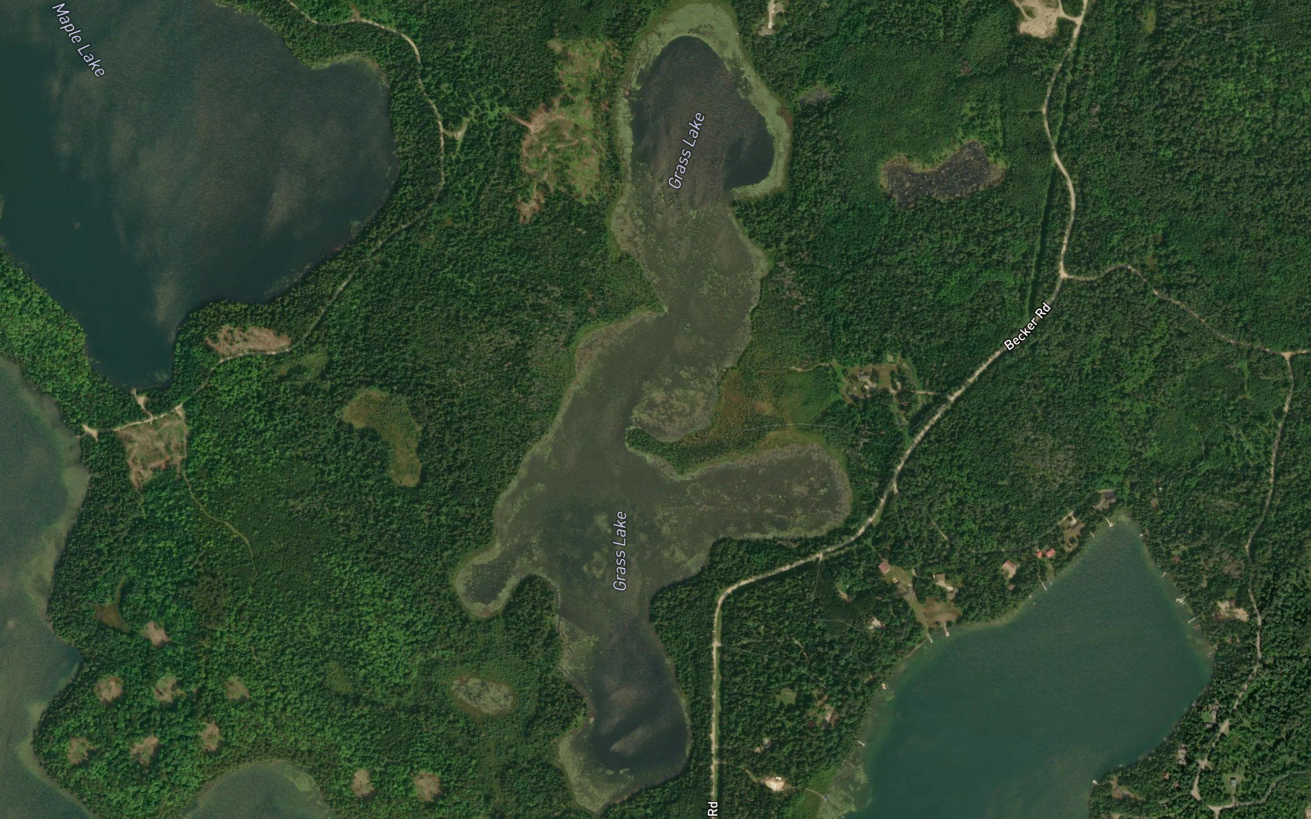 Grass Lake