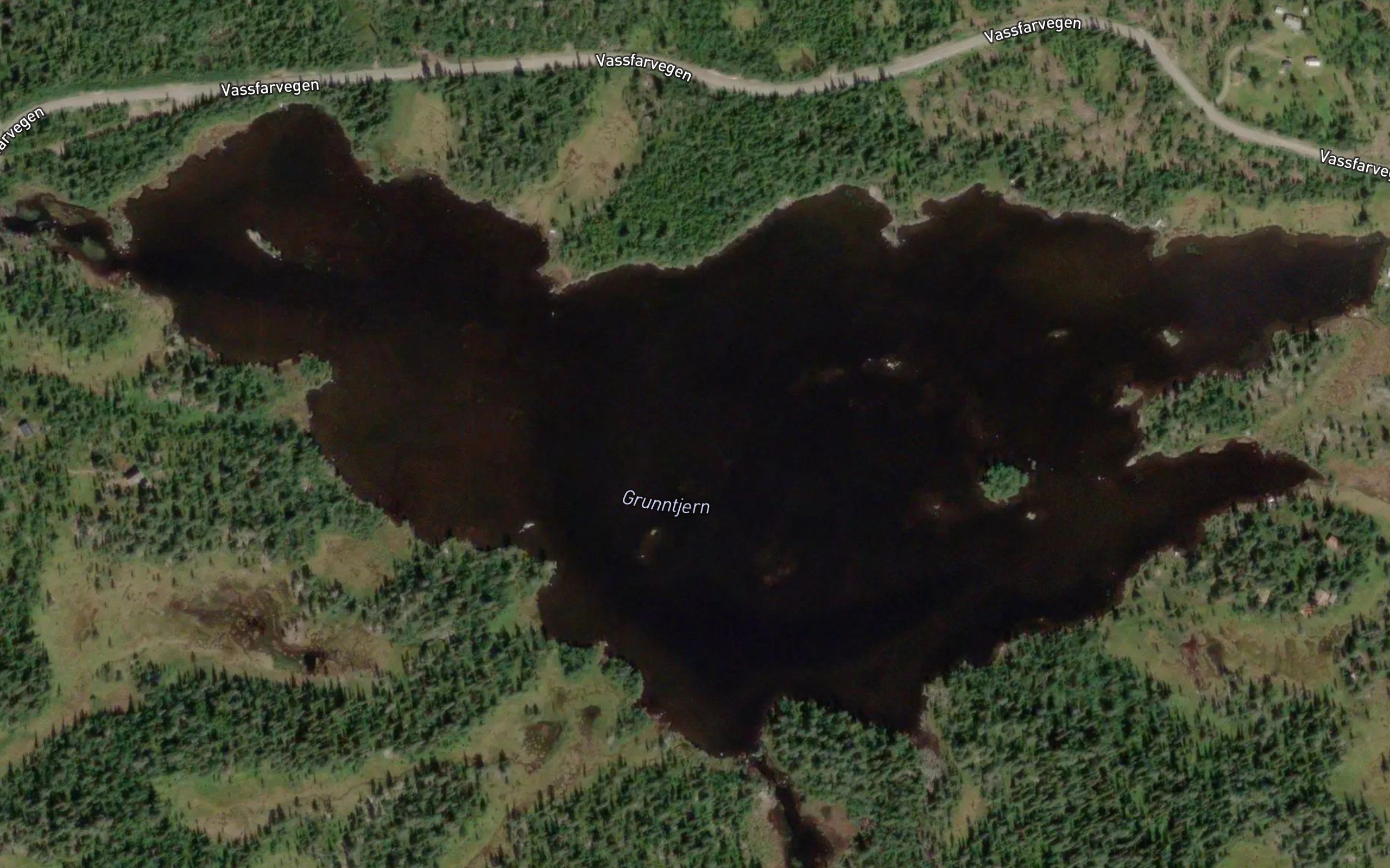 Grunntjernet