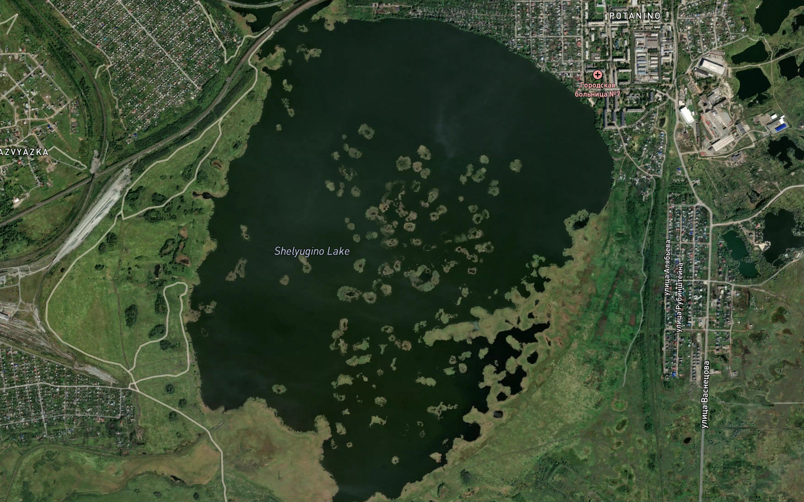 Ozero Shelyugino