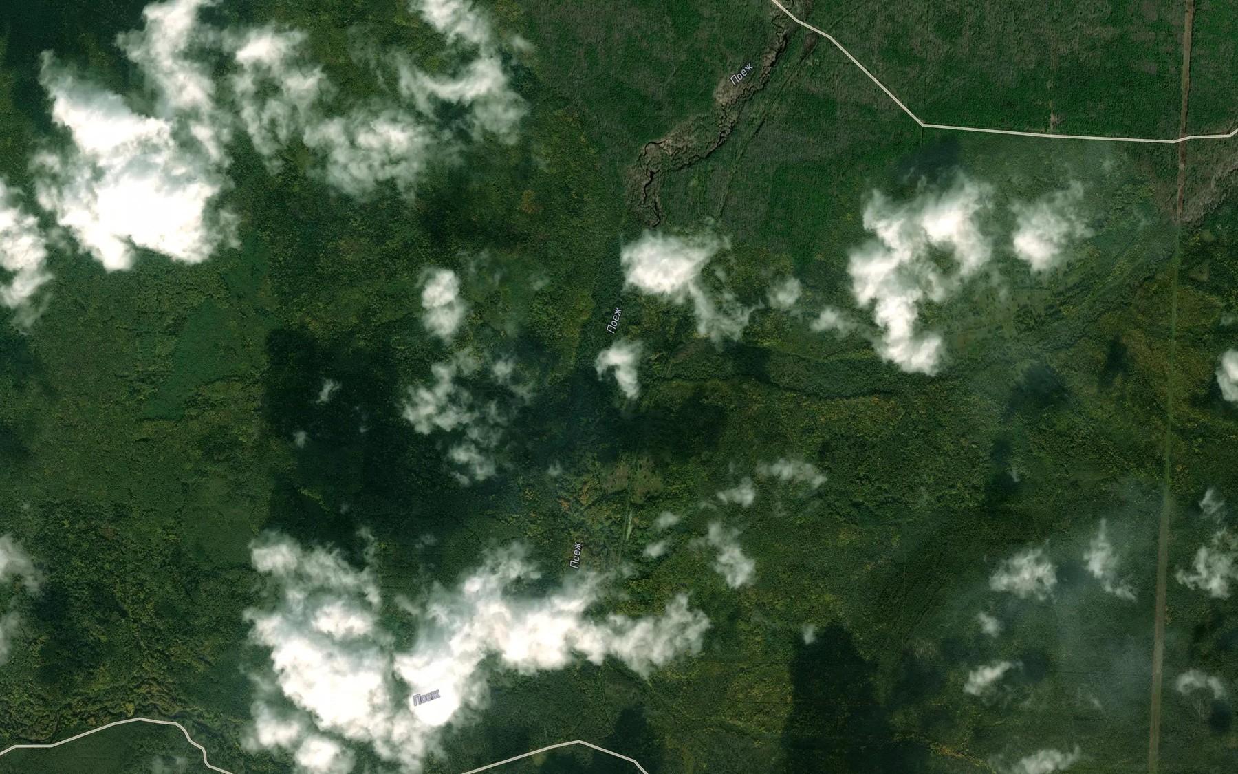 Satellite map of the Pchel'ya