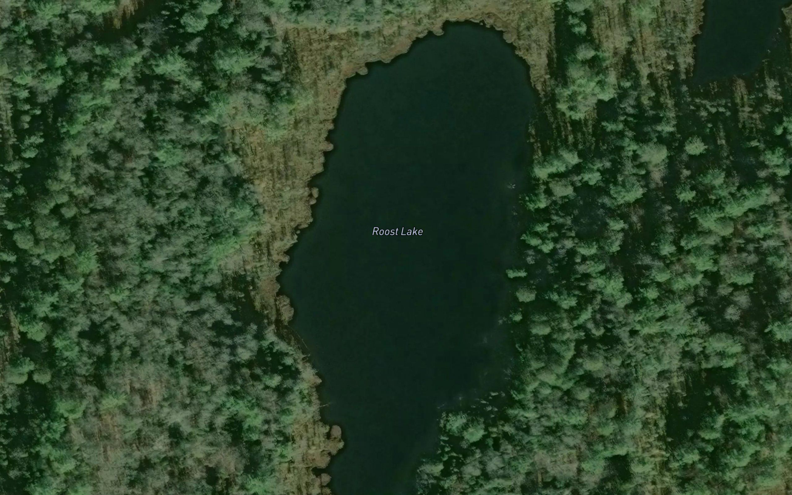 Roost Lake