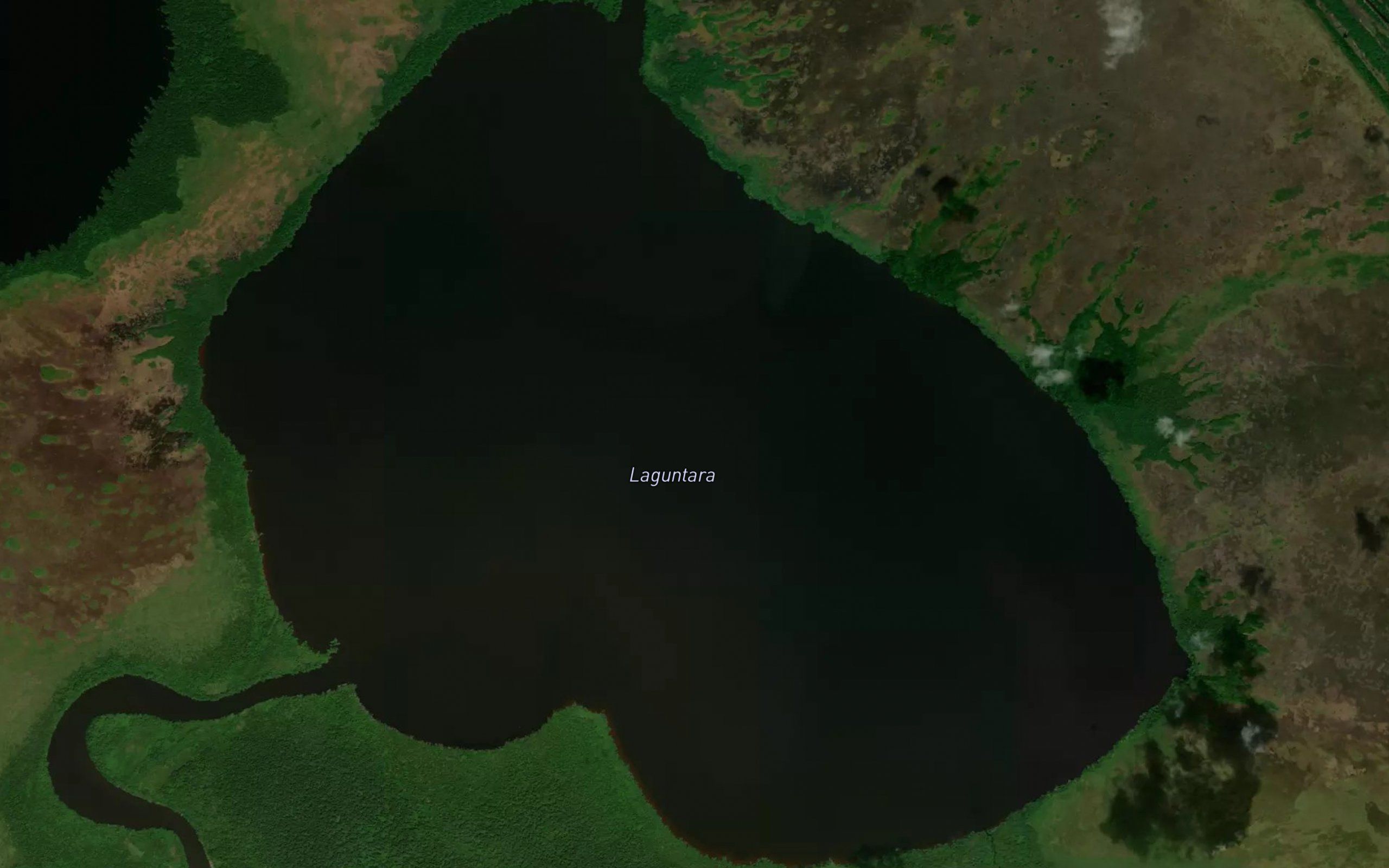 Laguntara