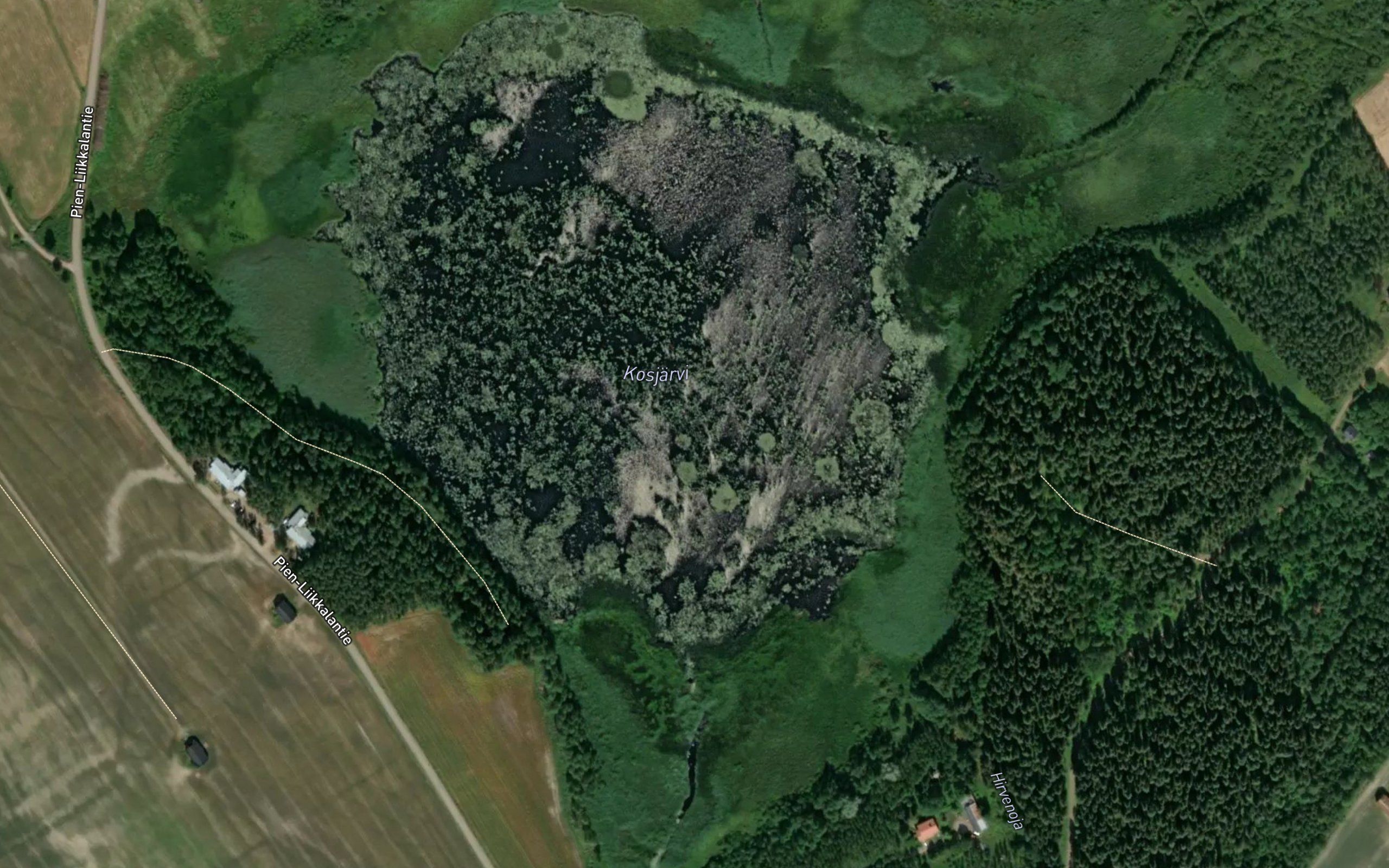 Kosjarvi