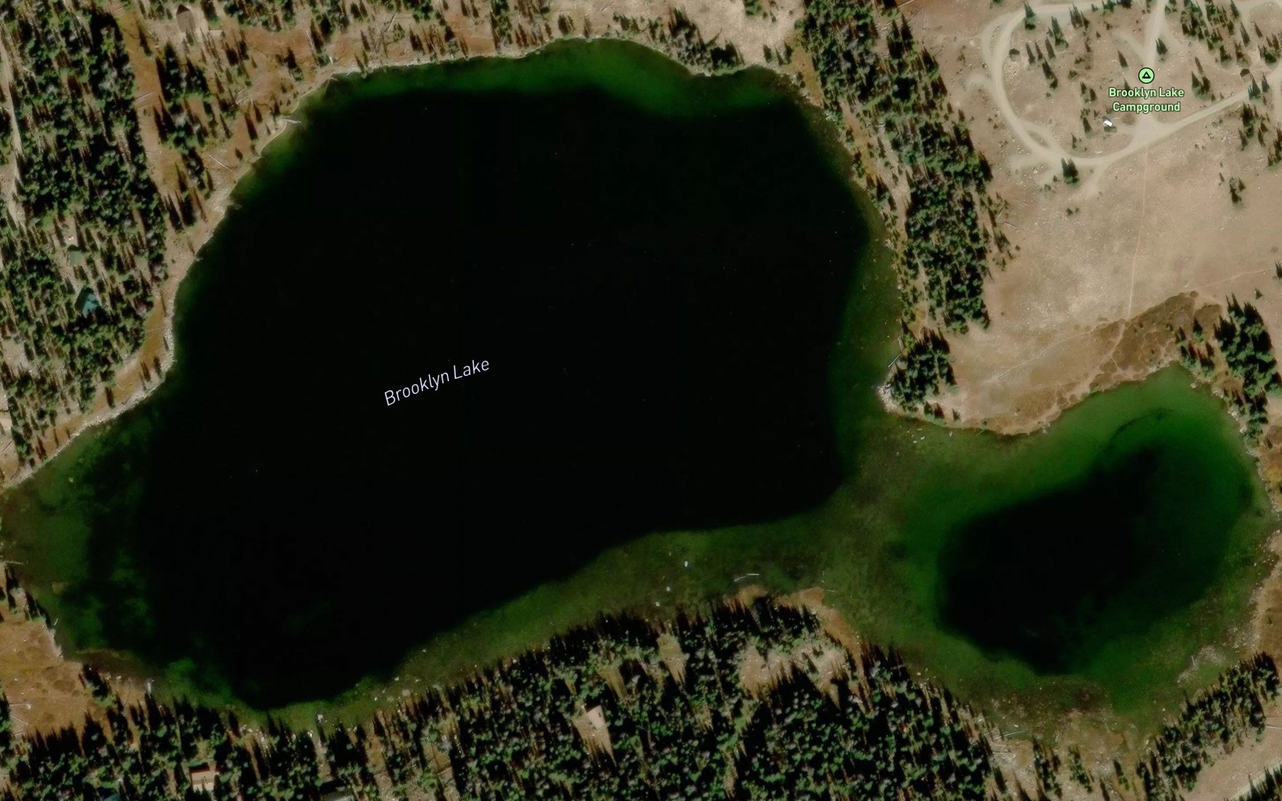 Brooklyn Lake