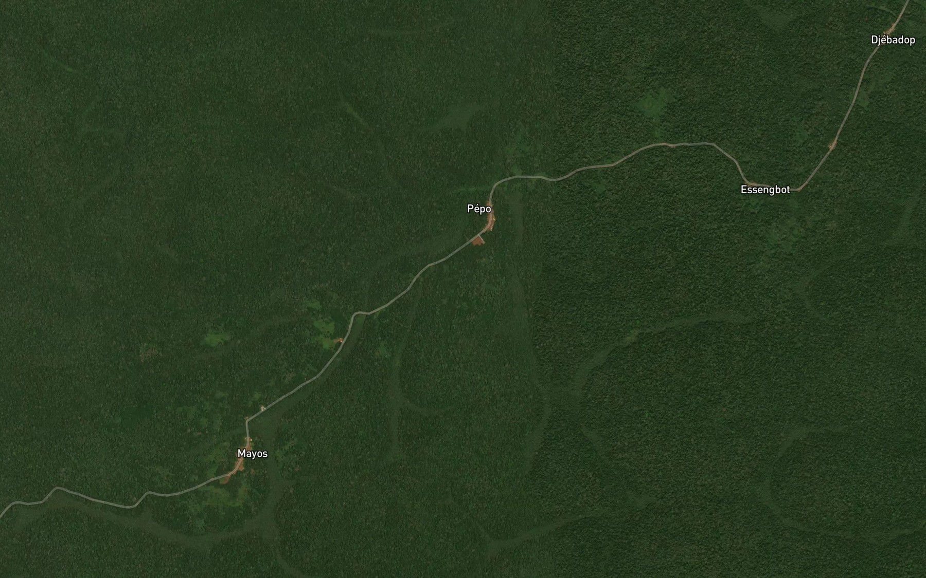 Satellite map of the Boso