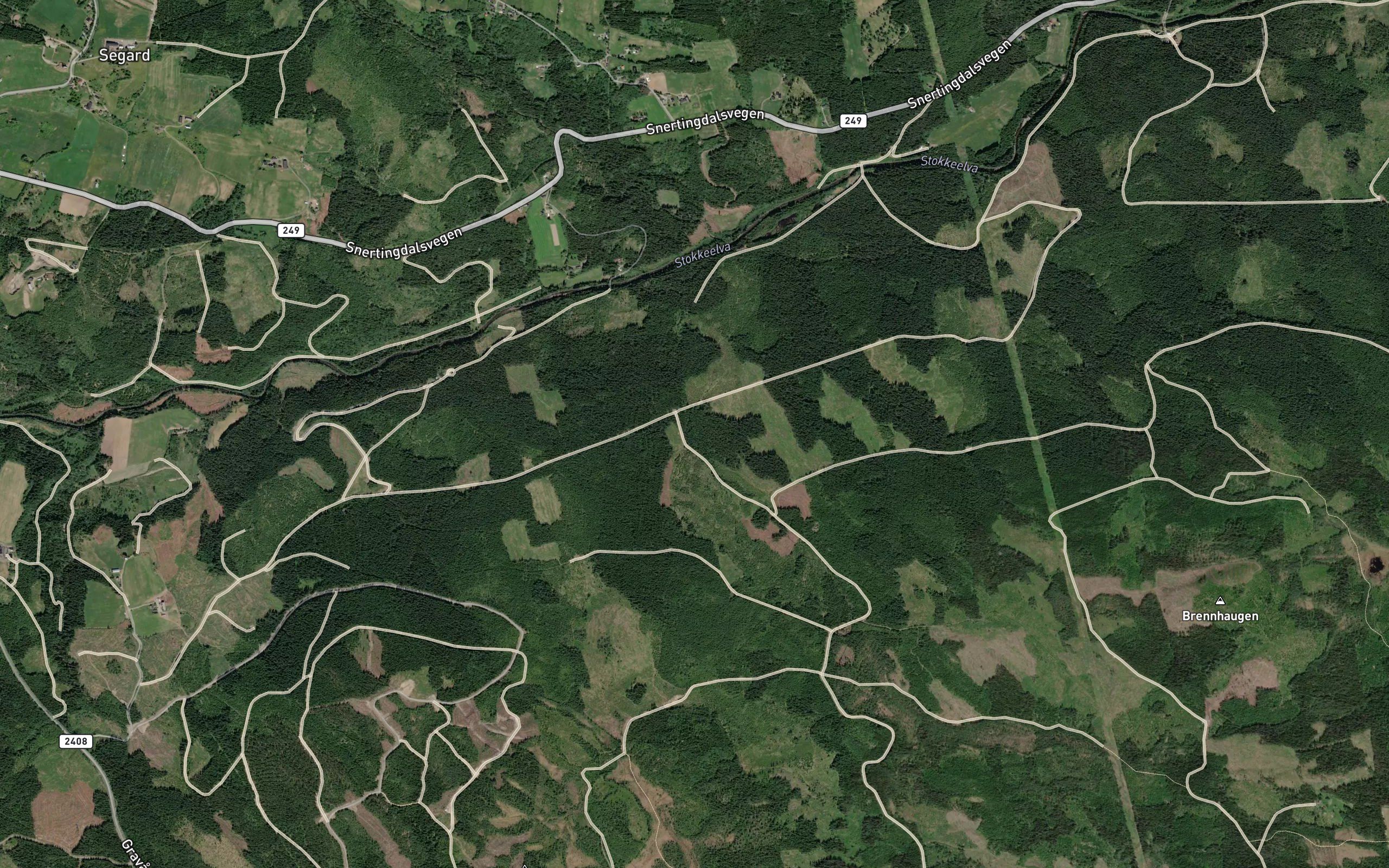 Kvitbekken