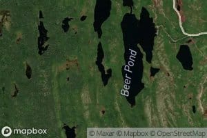 Birchy Pond