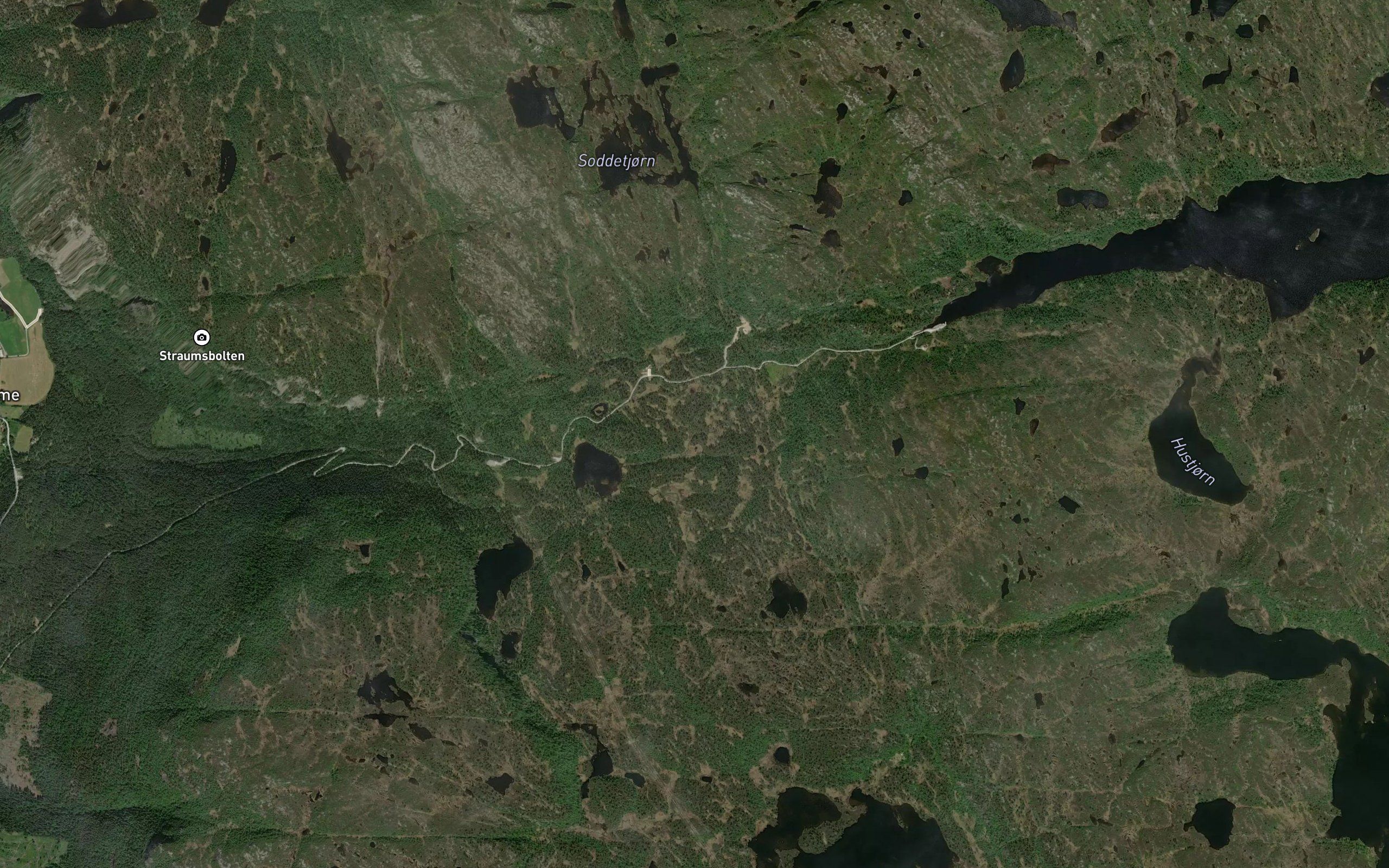 Kvinnani