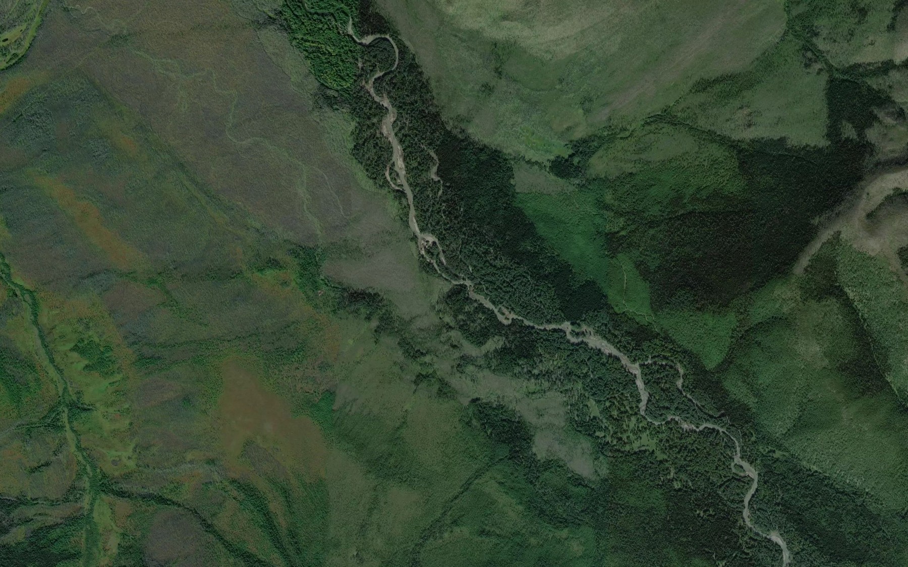 Satellite map of the Lesnoy