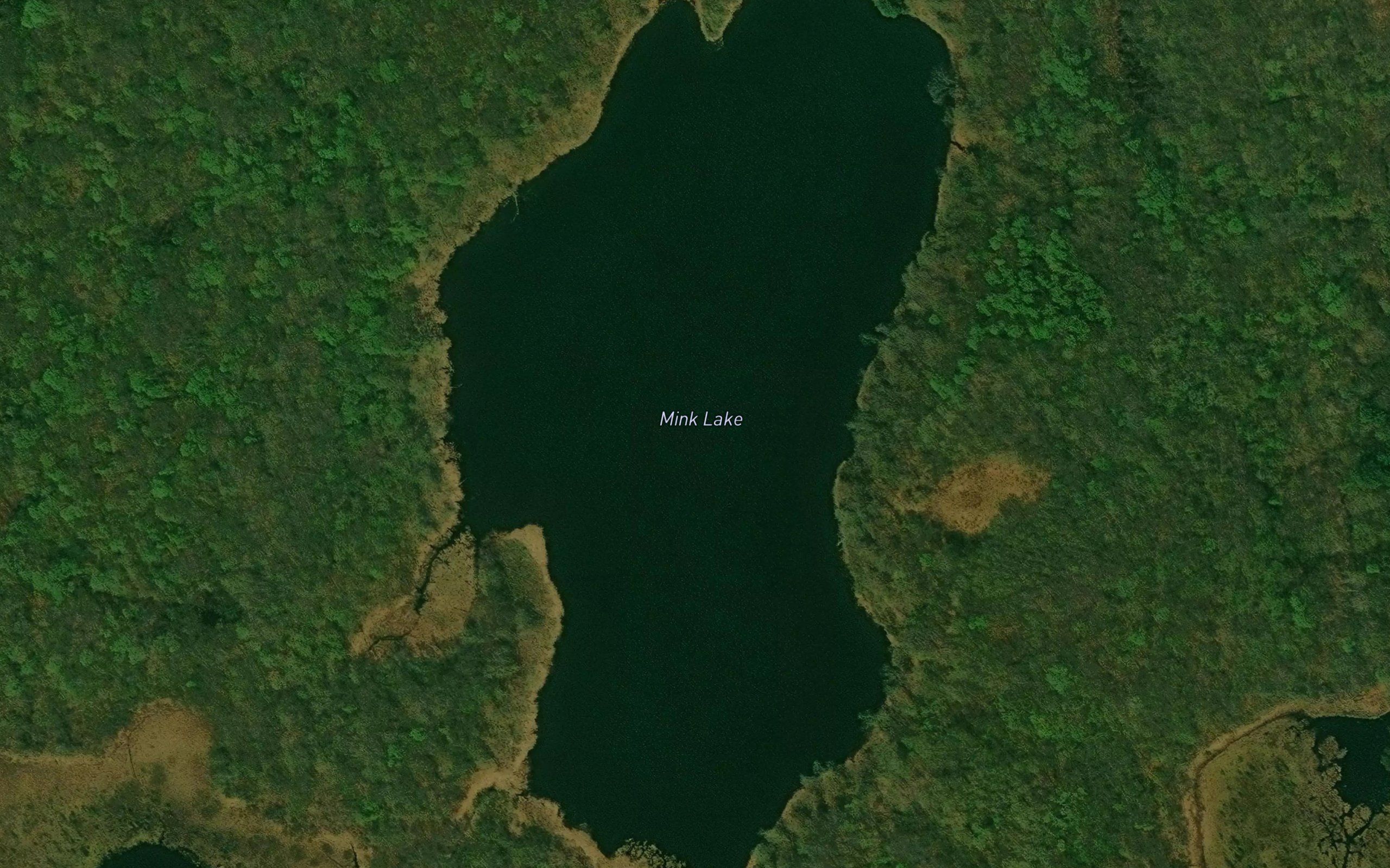 Mink Lake