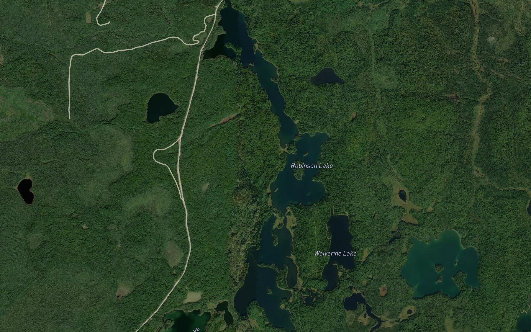 Satellite map of the Robinson Lake