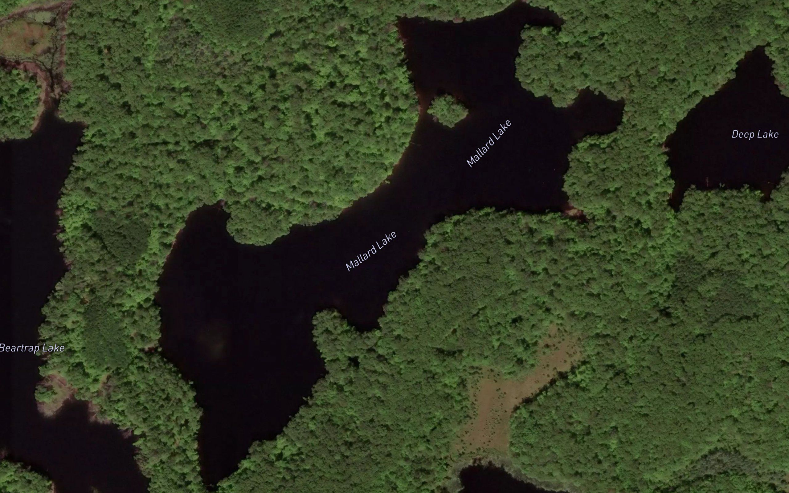 Mallard Lake