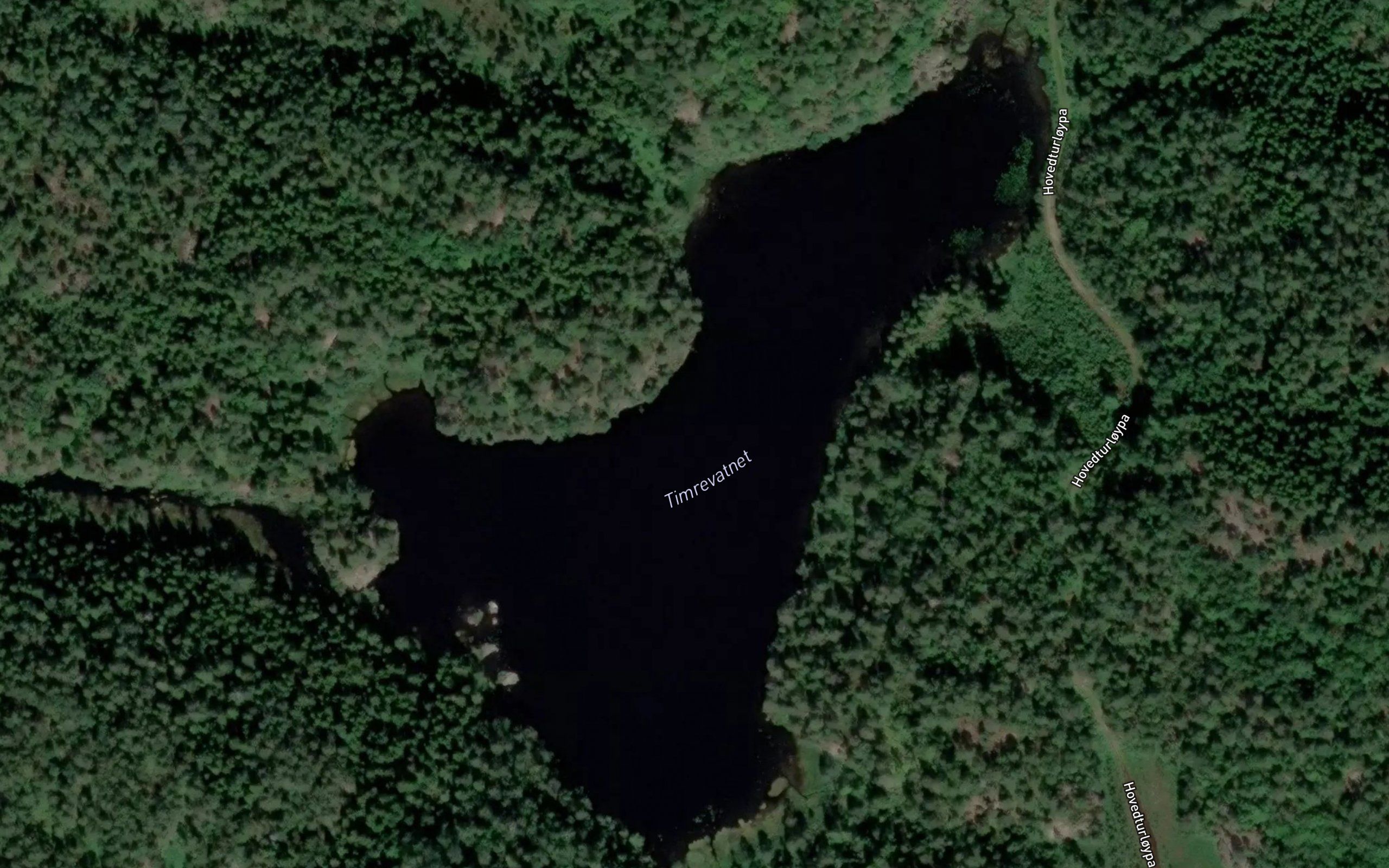 Tommervann