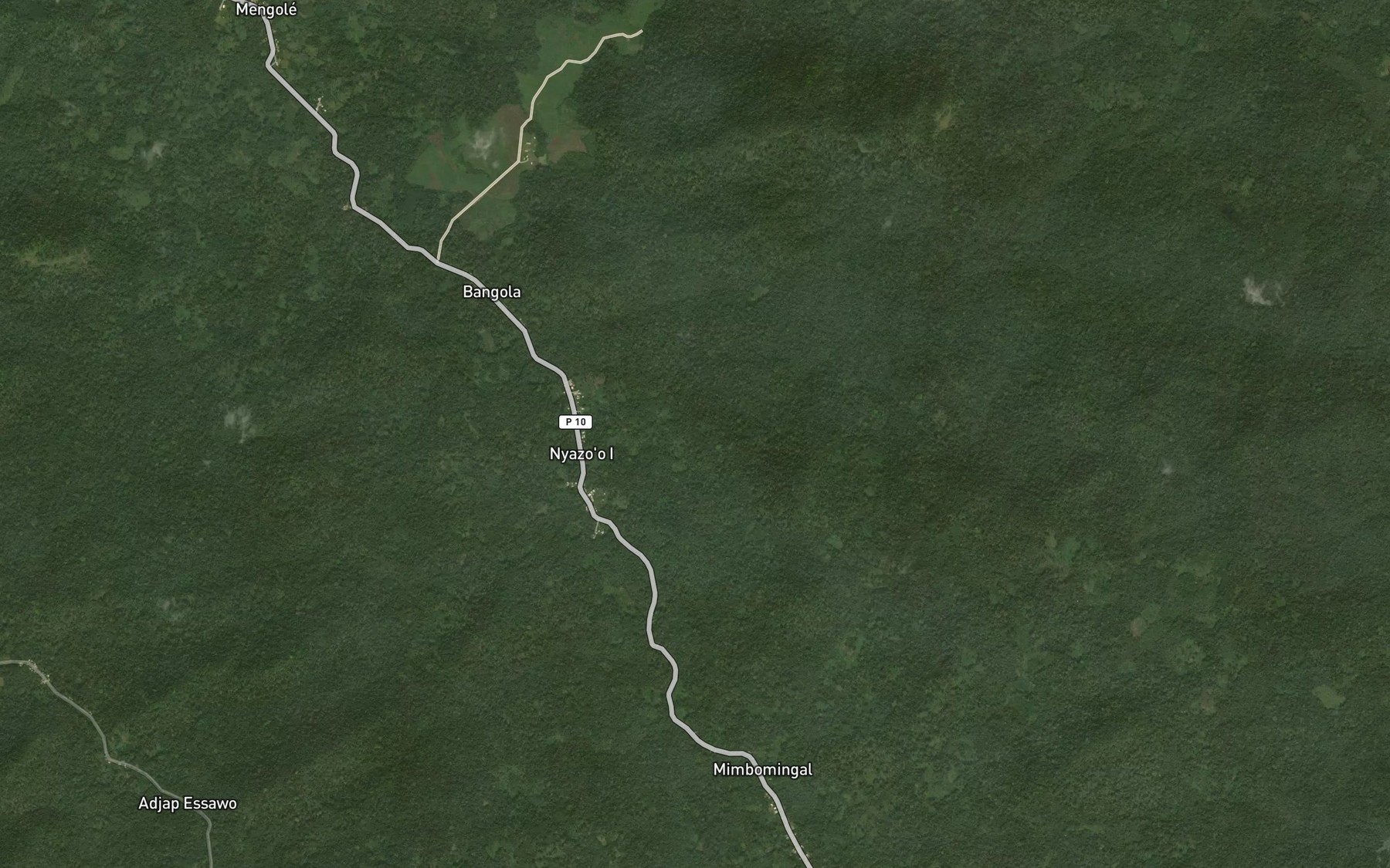 Satellite map of the Grand Nyaso
