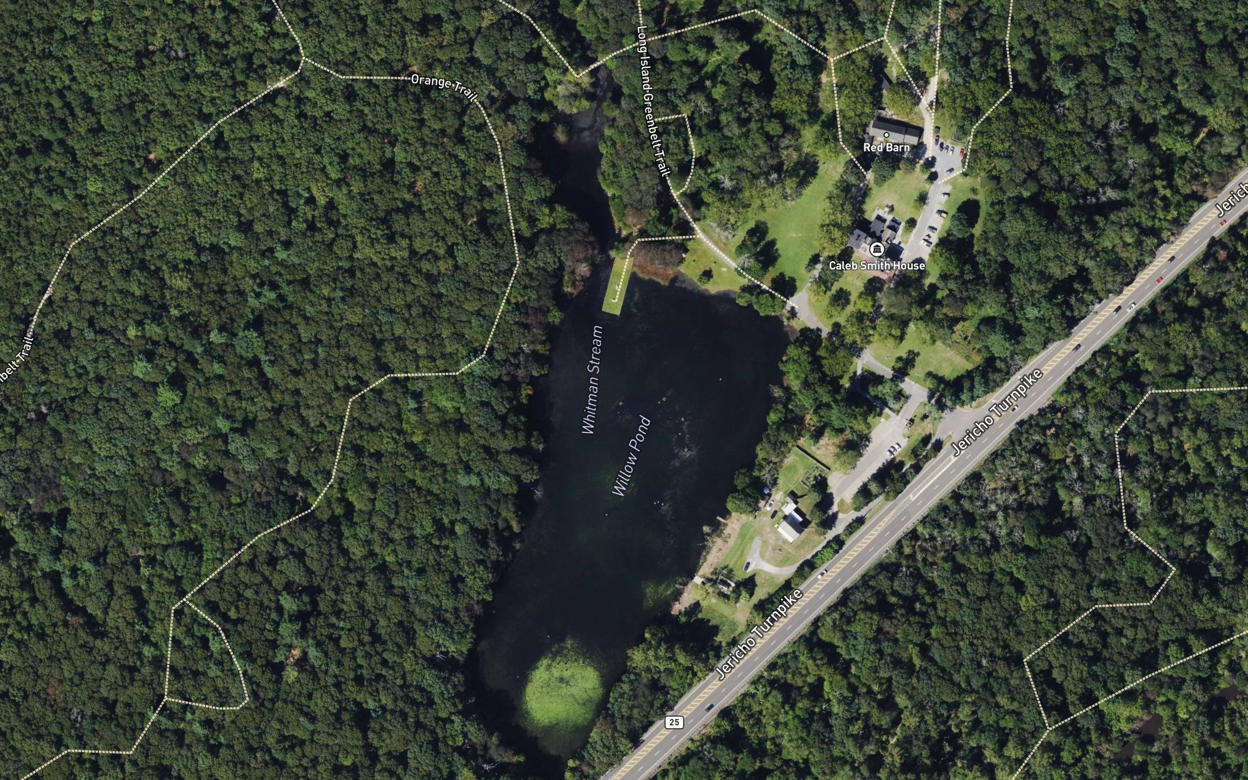 Willow Pond