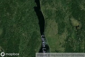 Larkin Lake