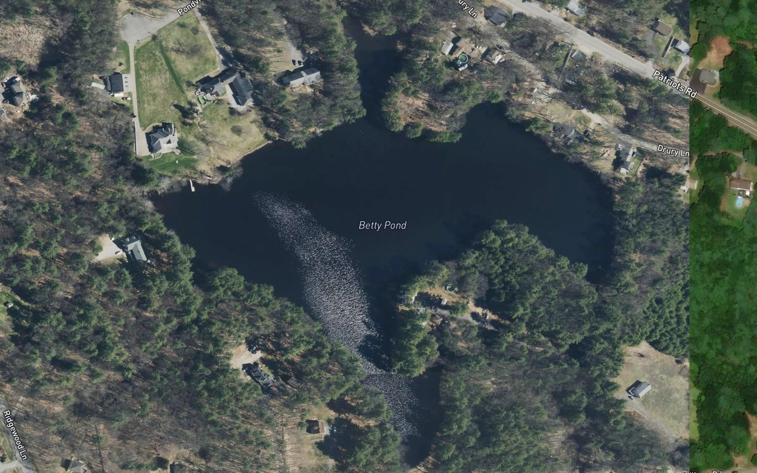 Brazell Pond