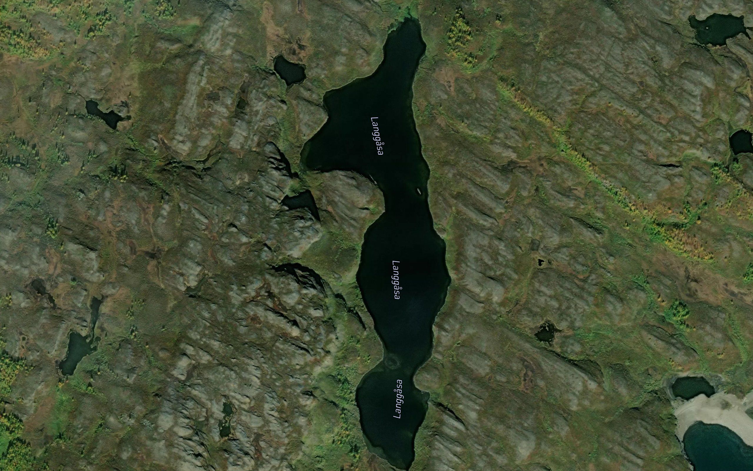 Langgasa