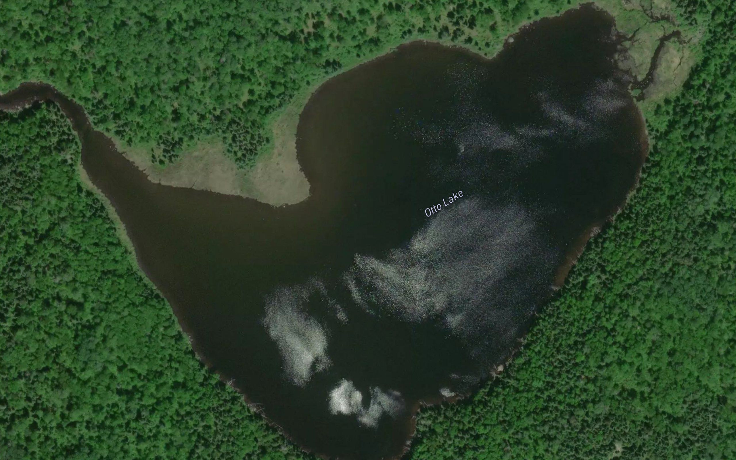 Otto Lake
