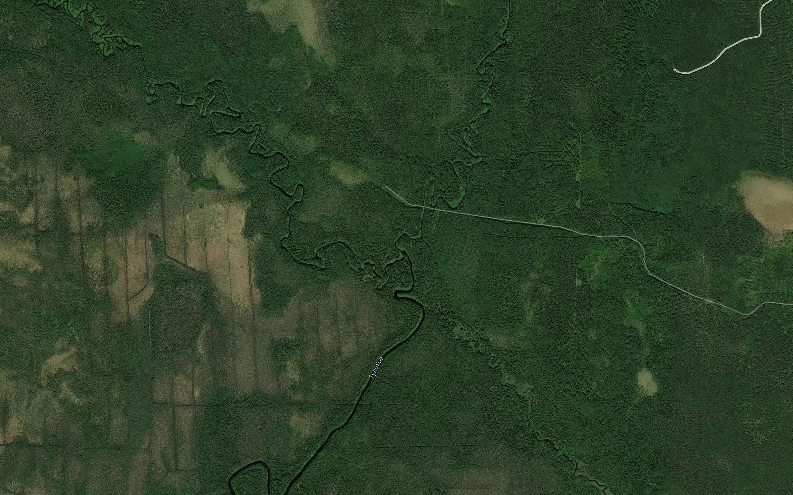 Puoroyoya