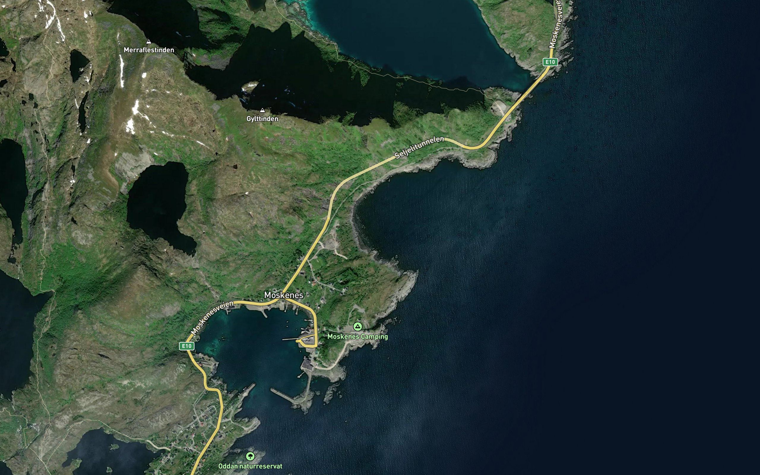 Seljevika