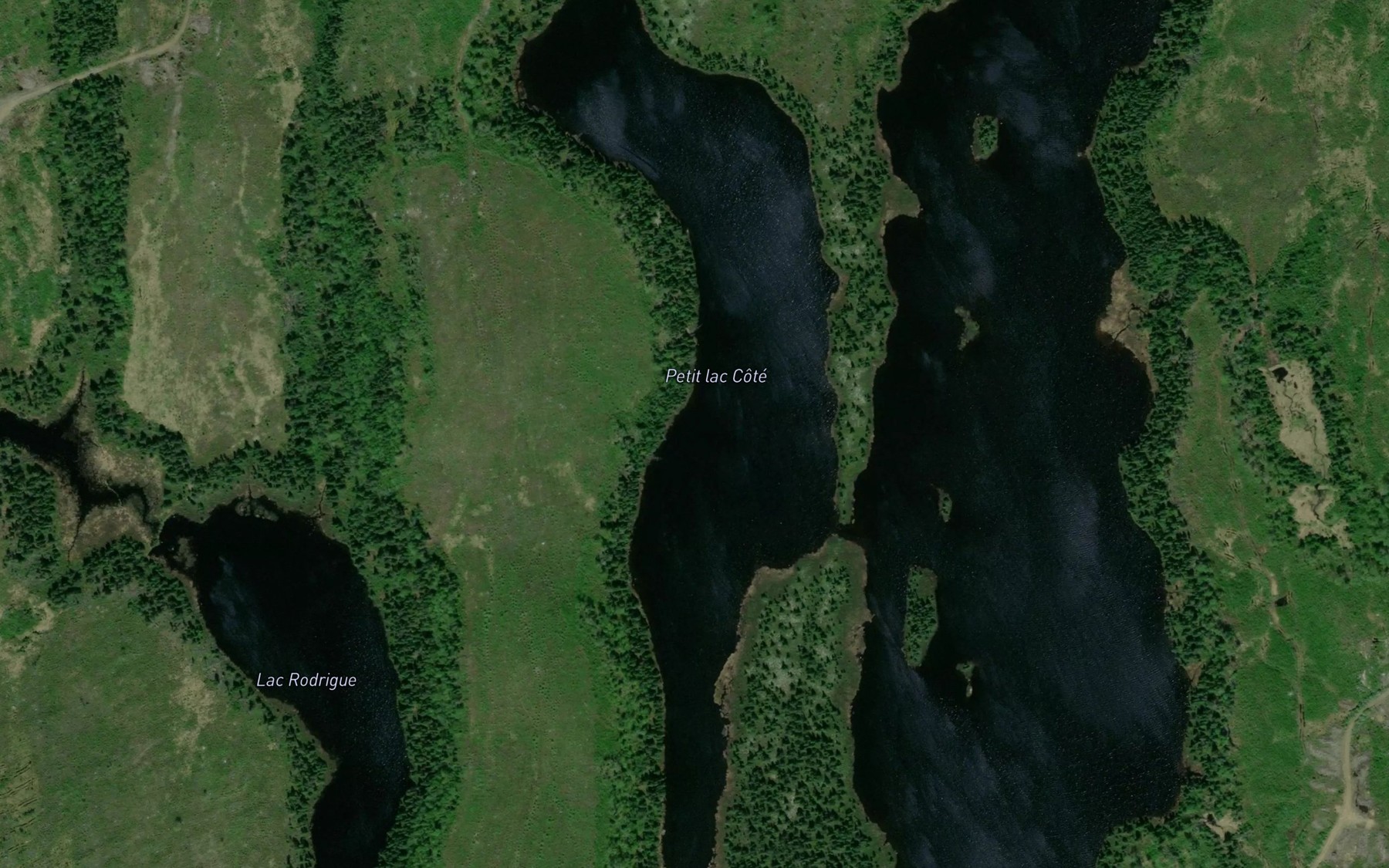 Satellite map of the Petit lac Cote